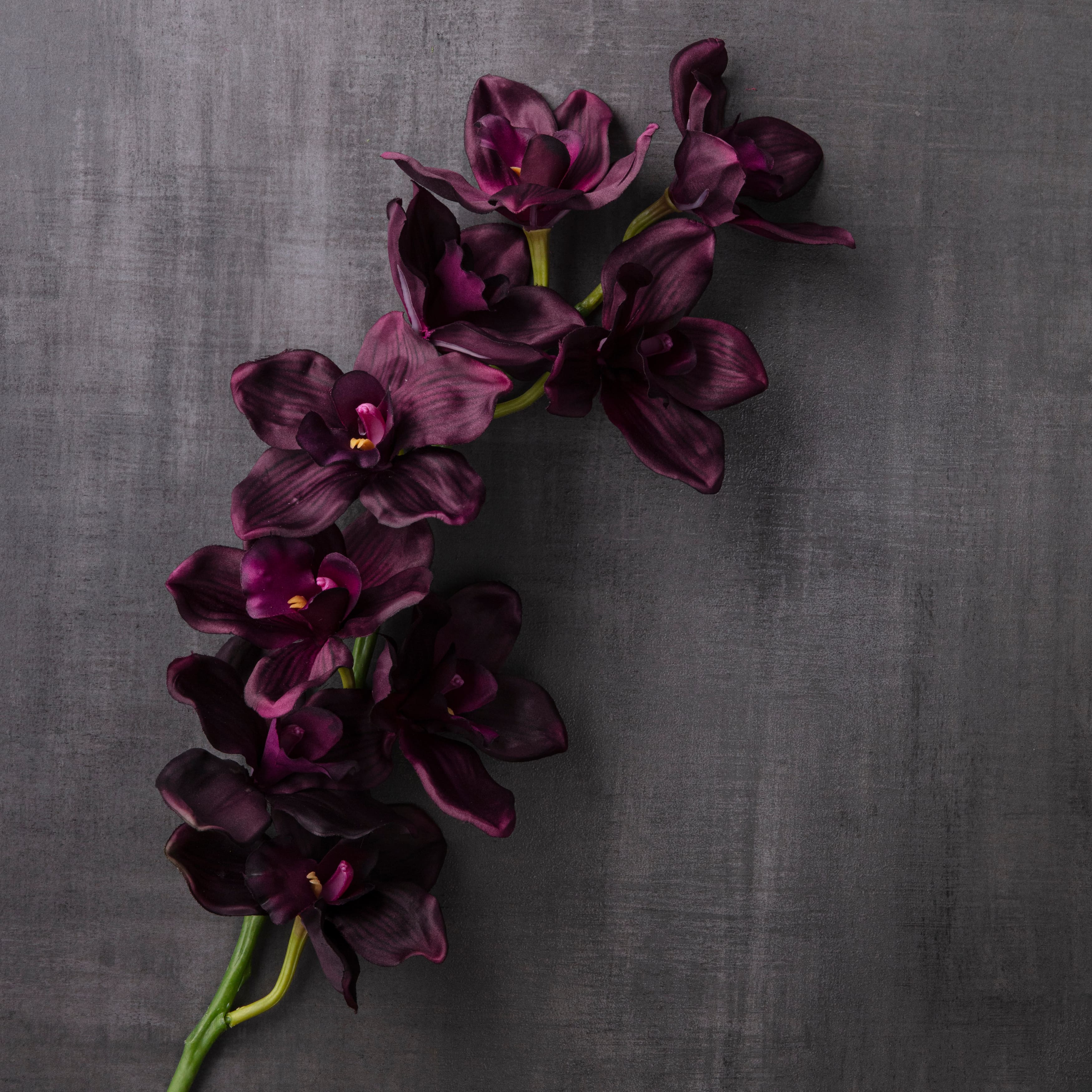 8 Pack: Plum Boat Orchid Spray by Ashland&#xAE;