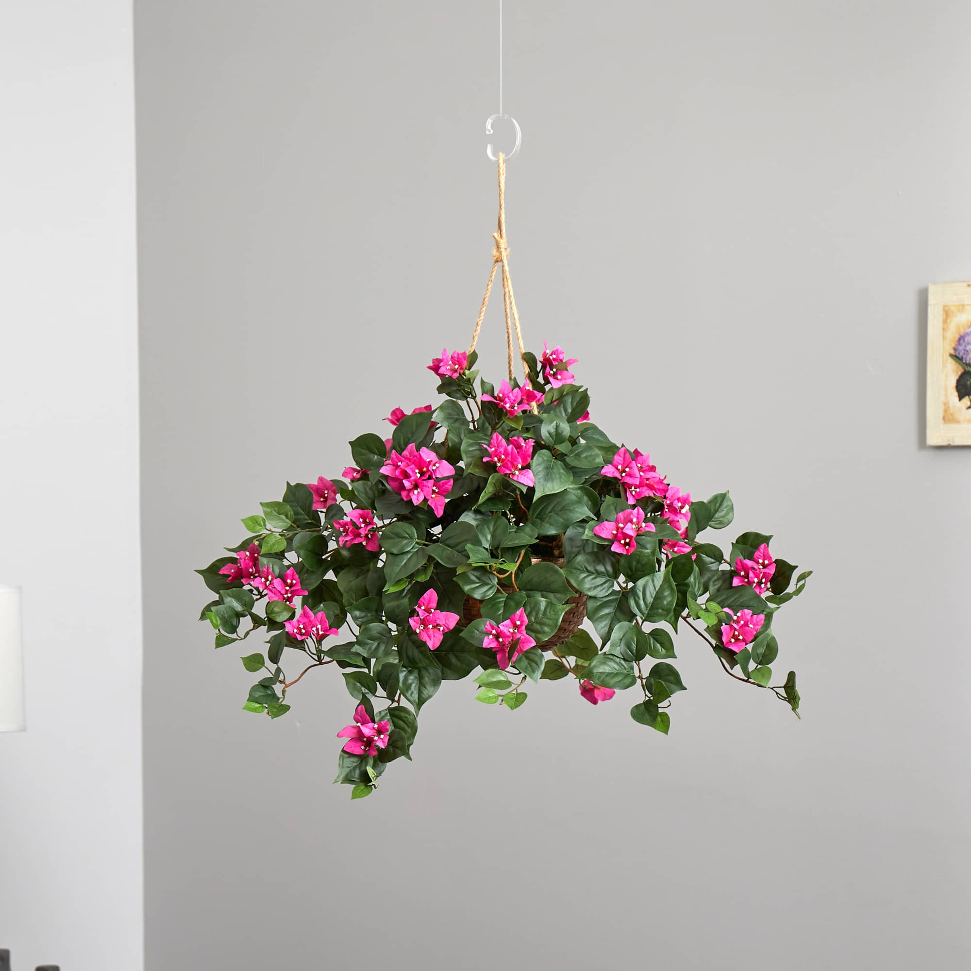 24&#x22; Pink Bougainvillea Hanging Basket