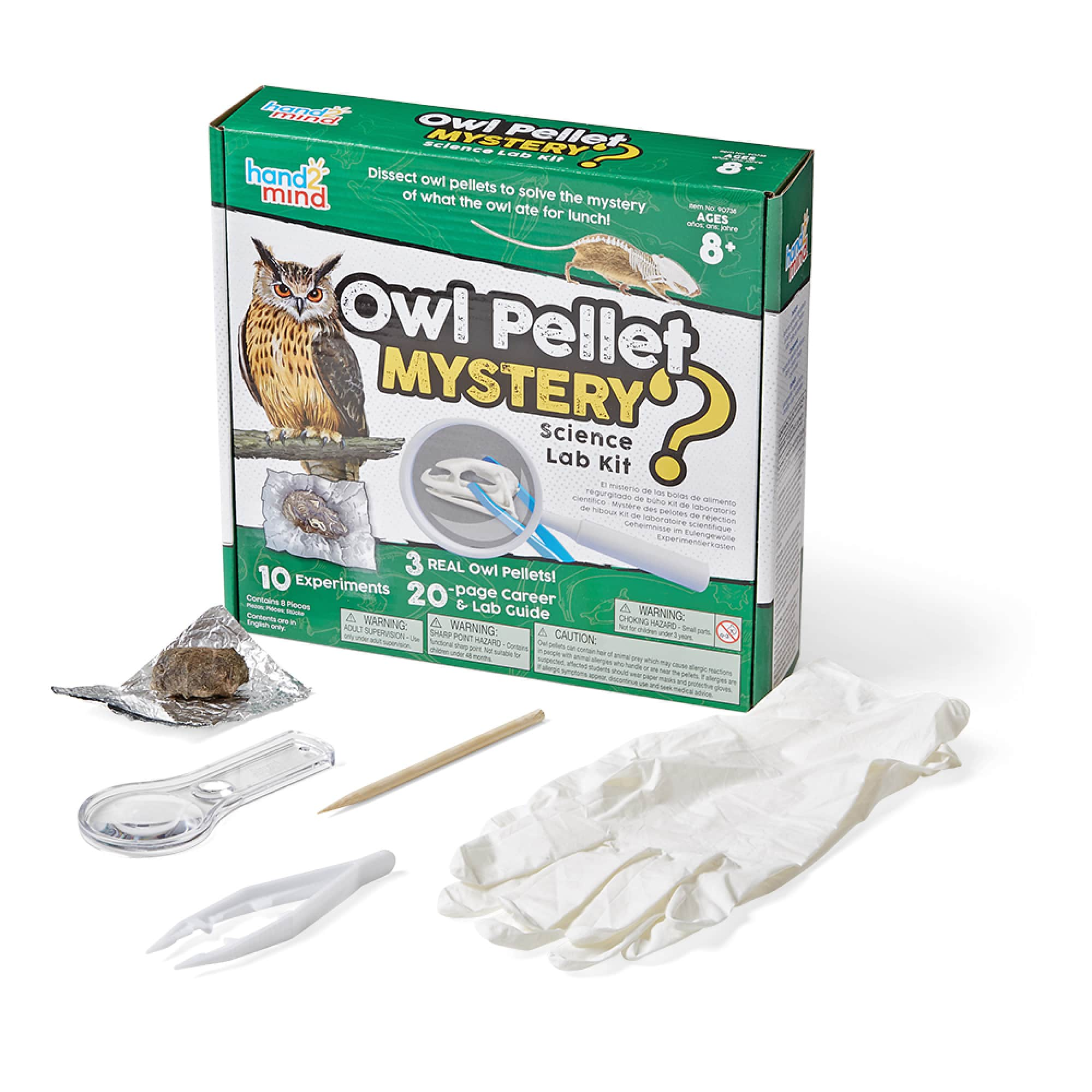 Hands-On Owl Pellet Dissection (FREE PROGRAM) — Wolf Gap