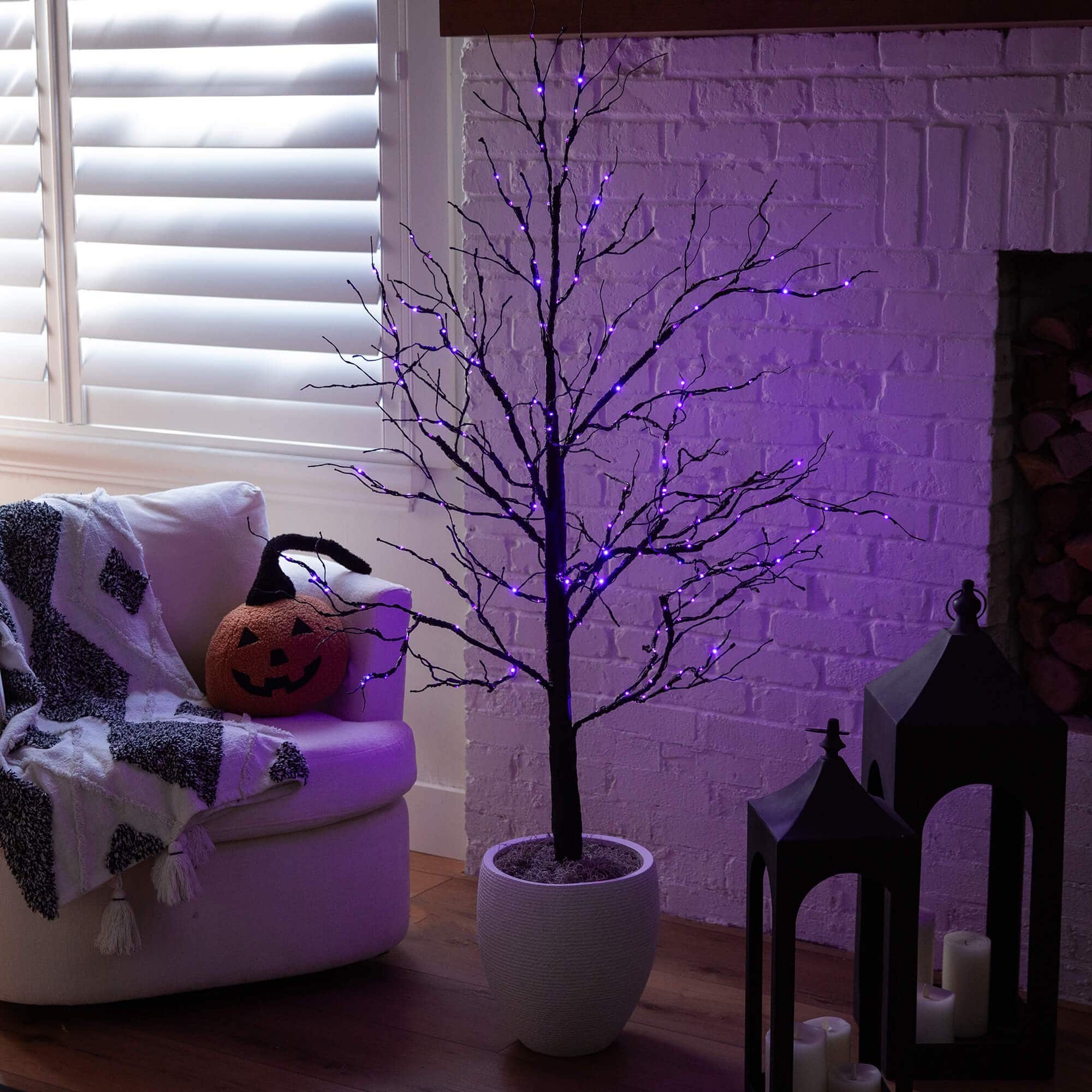 5ft. Pre-Lit Halloween Black Twig Artificial Tree with 240 Orange &#x26; Purple LED Lights
