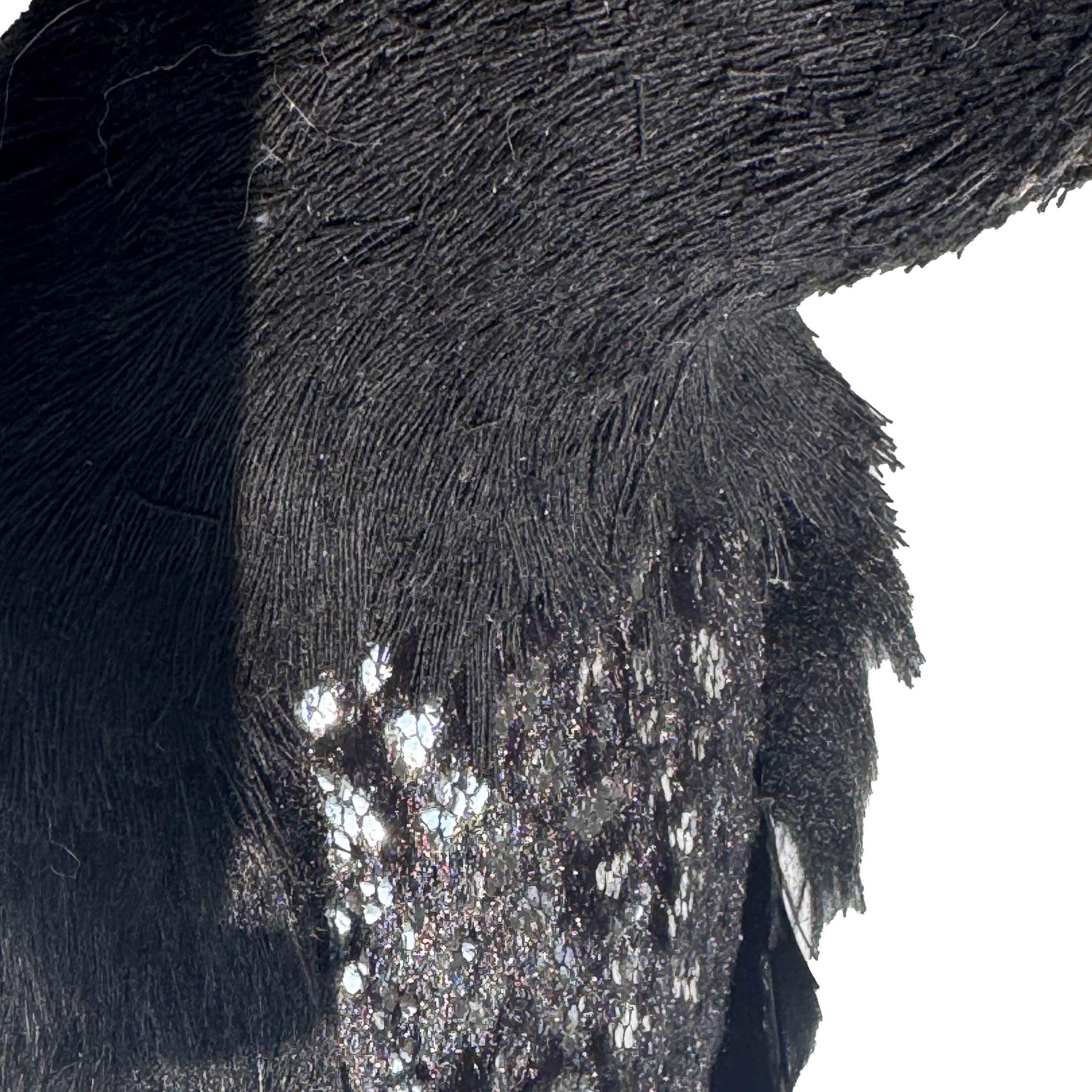 10.75&#x22; Crow with Glitter by Ashland&#xAE;