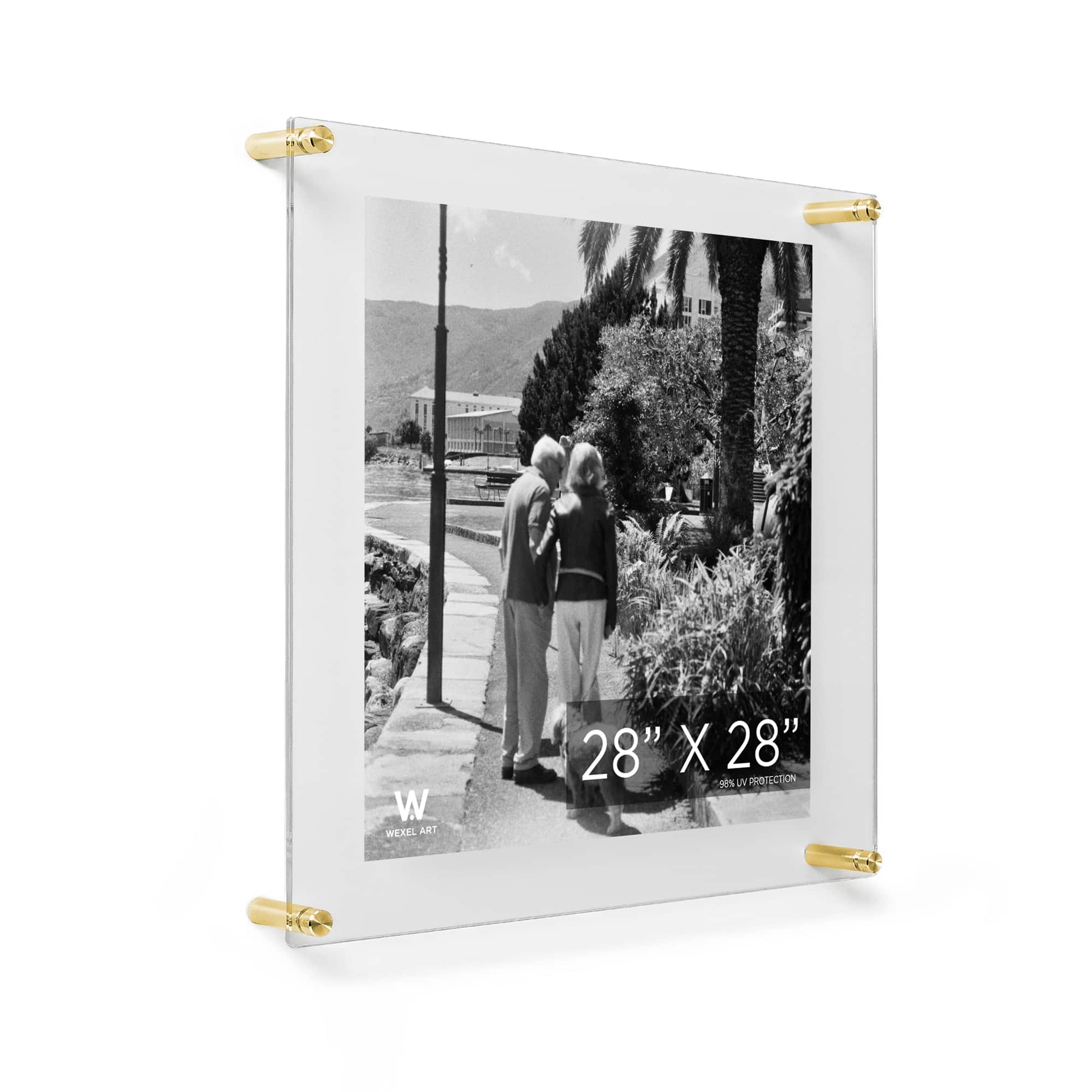Wexel Art Double Panel Clear Acrylic Floating Wall Frame with Gold Hardware