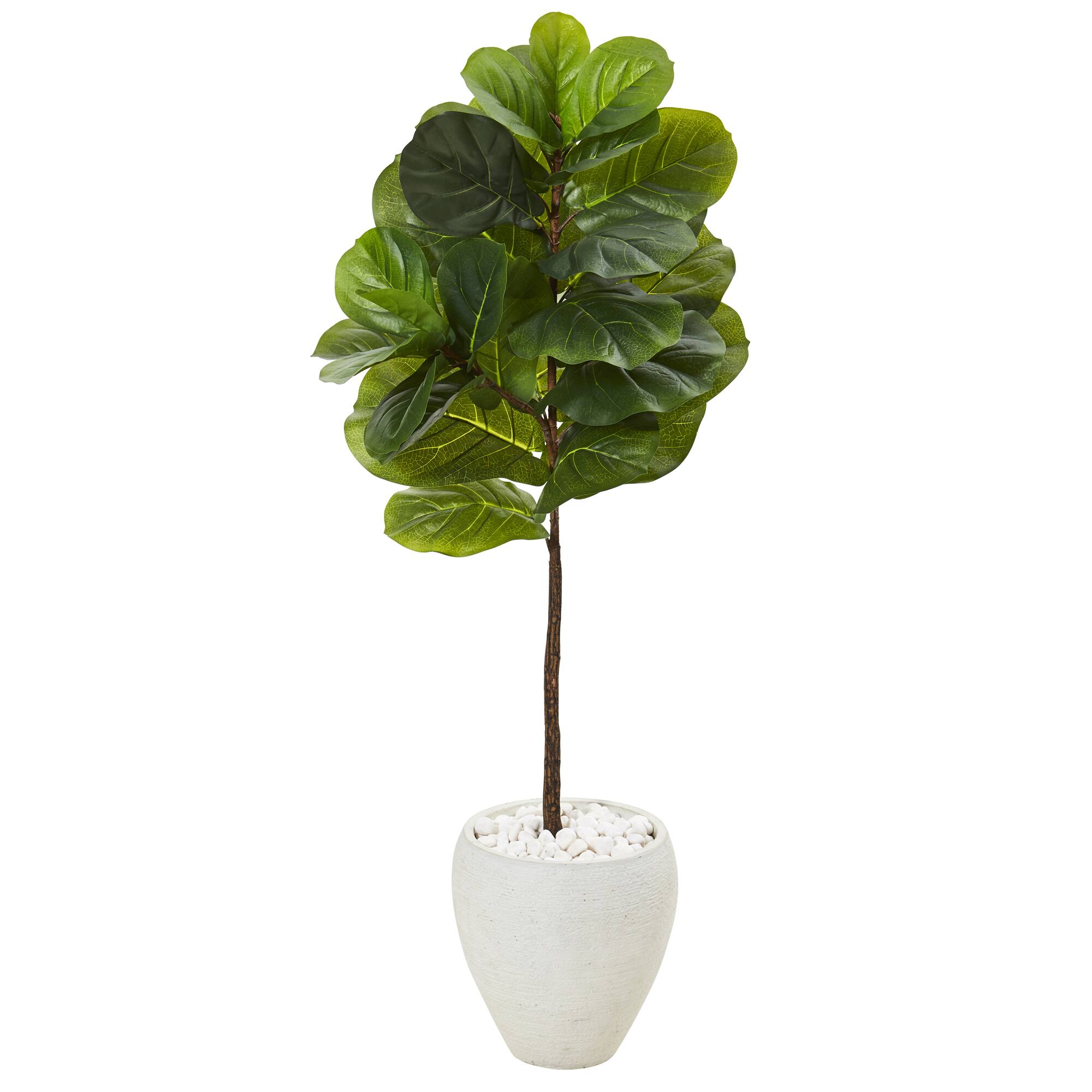 4ft. Fiddle Leaf Tree in White Planter