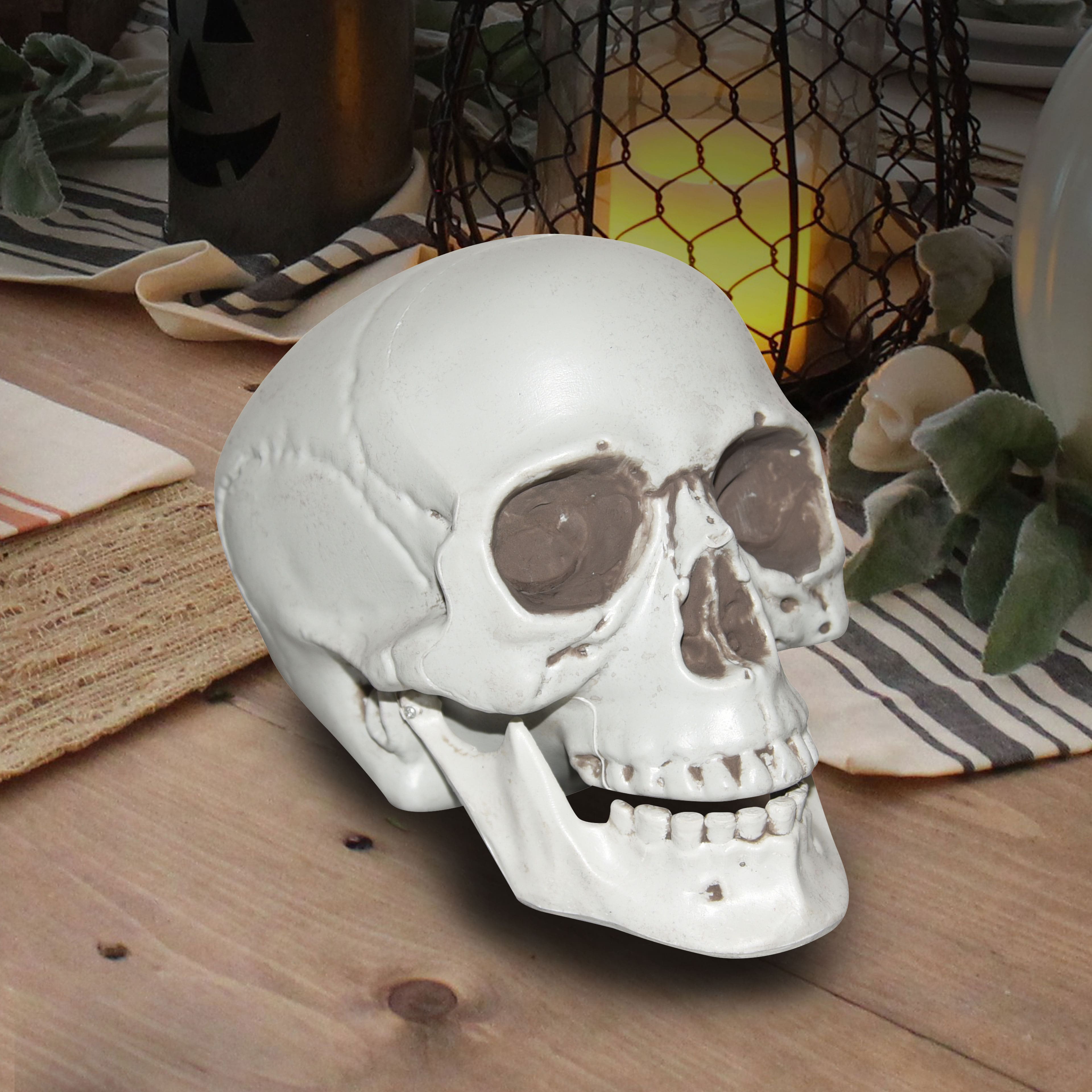 7&#x22; Skull by Ashland&#xAE;