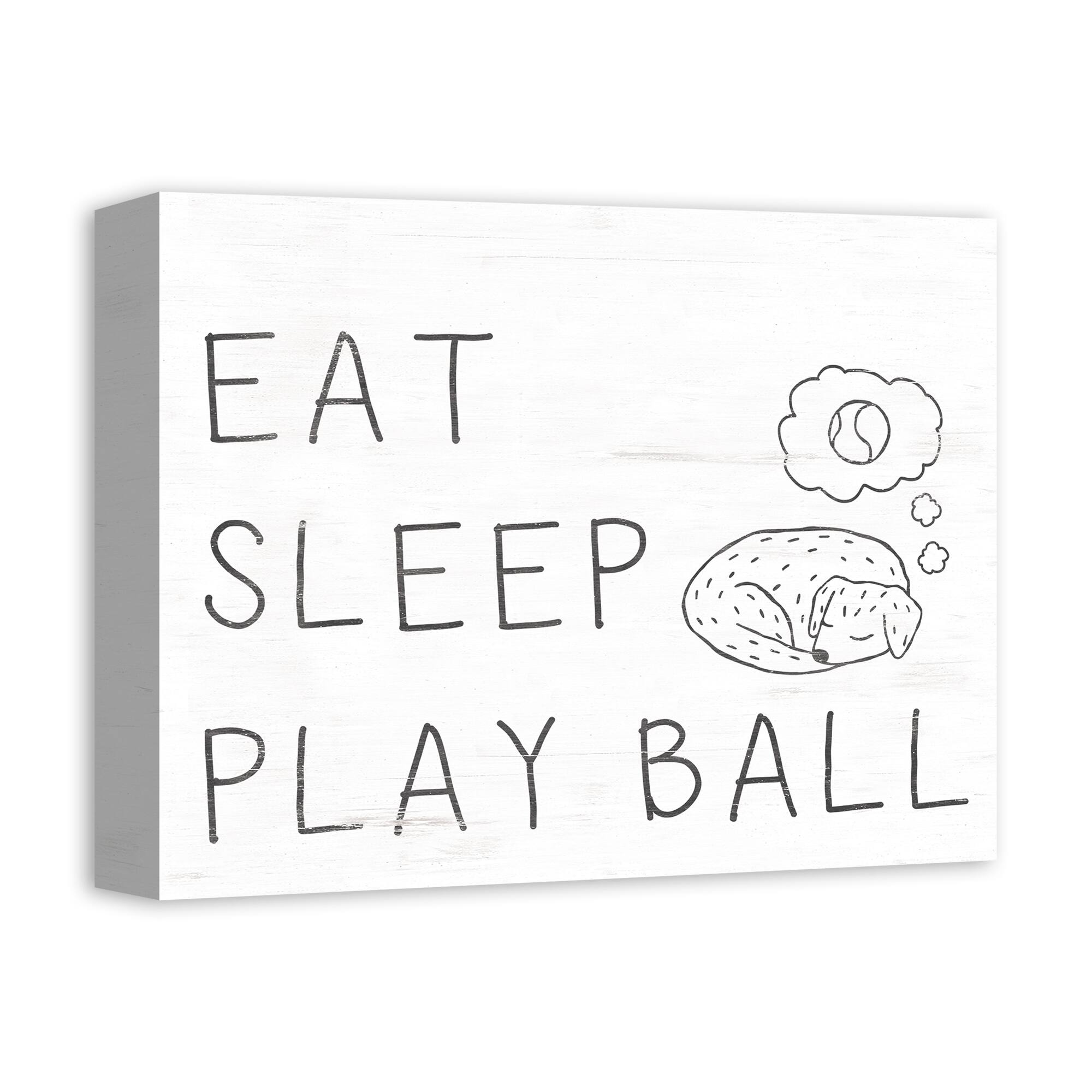 Eat Sleep Play Ball Canvas Wall Art