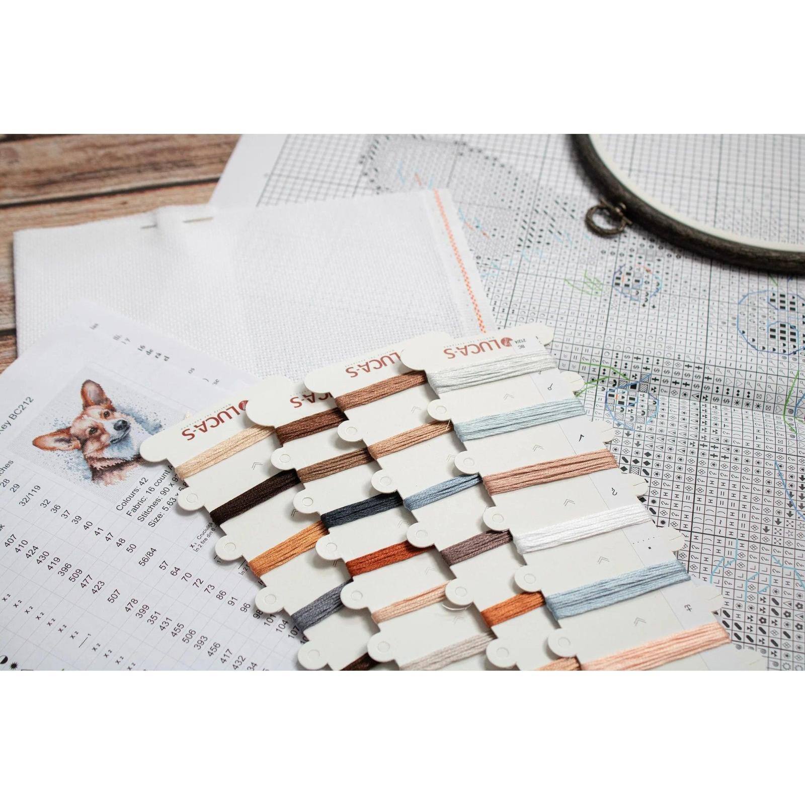 Luca-S Welsh Corgi Counted Cross Stitch Kit with Display Hoop