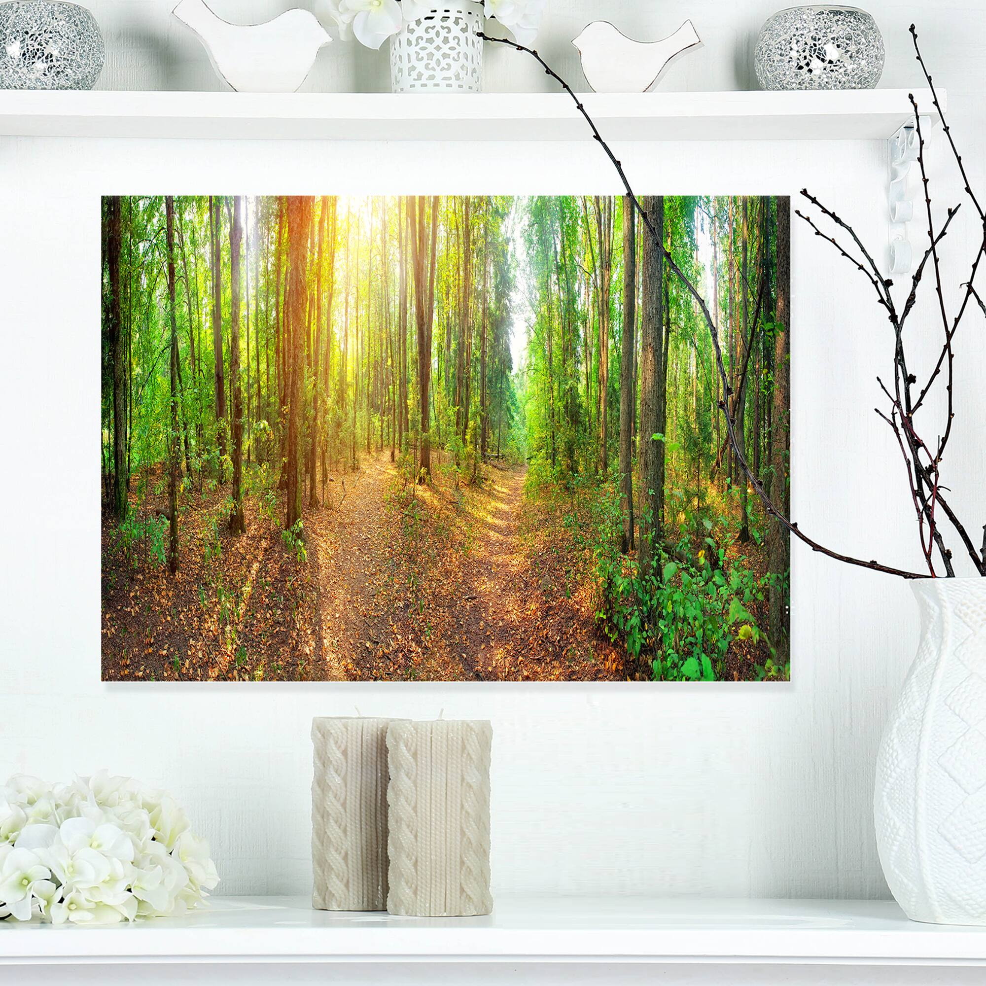 Designart - Dense Forest Panorama - Landscape Canvas Art Print