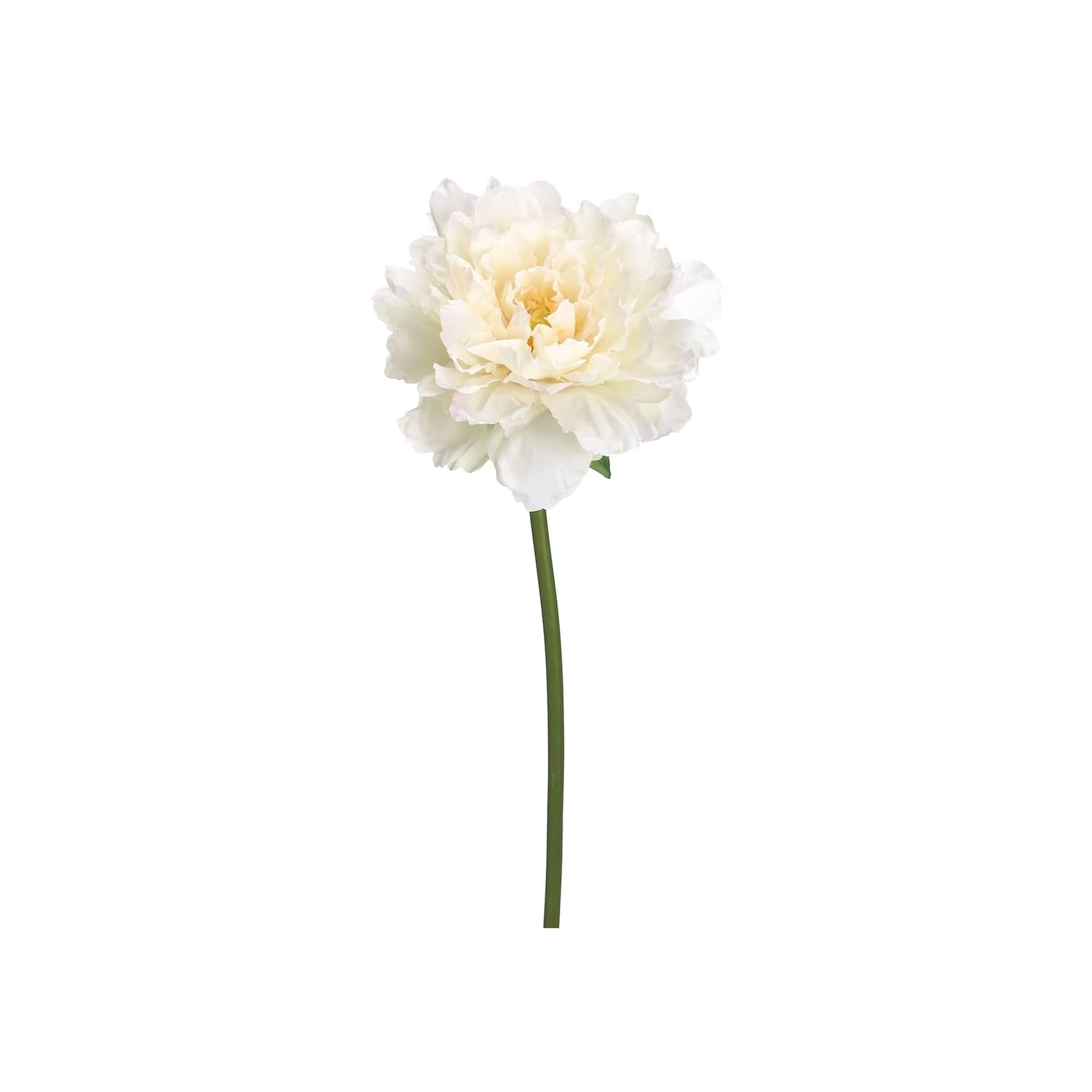 Cream & White Peony Stem | Michaels