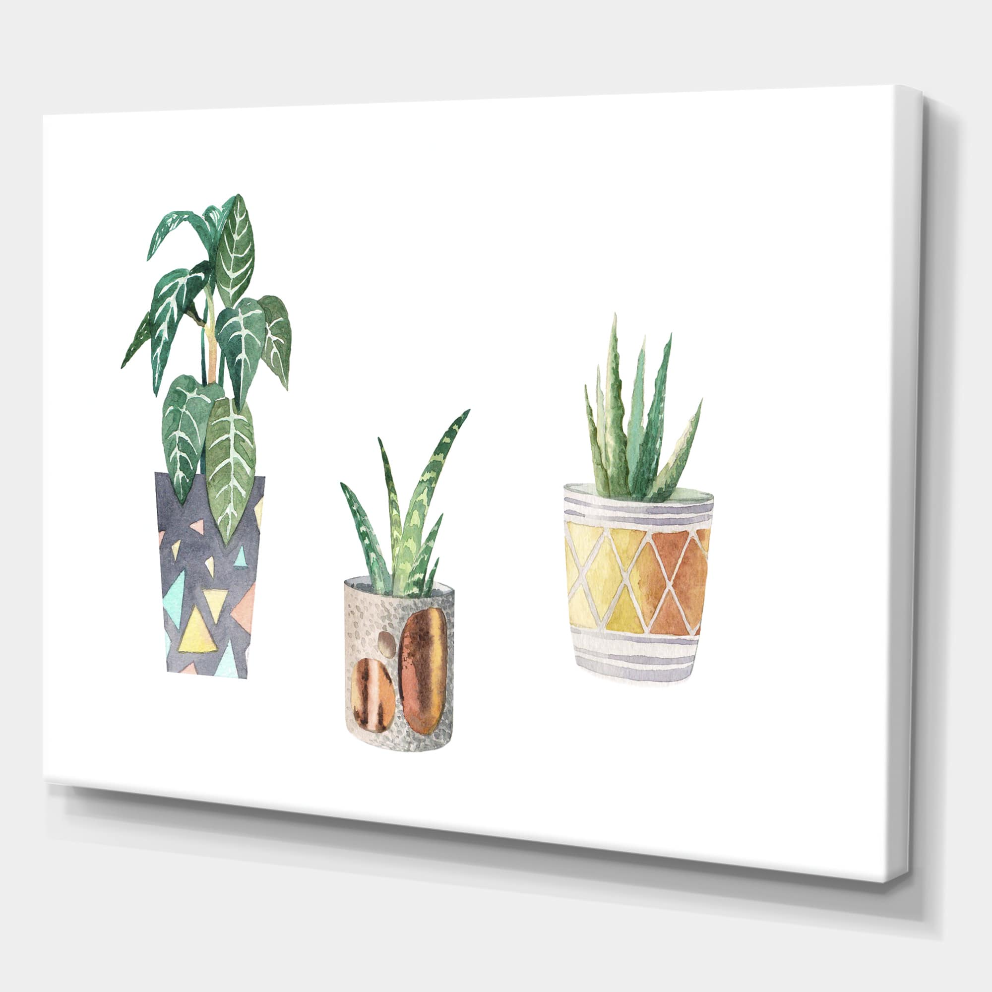 Designart - Three Potted Houseplants - Traditional Canvas Wall Art Print