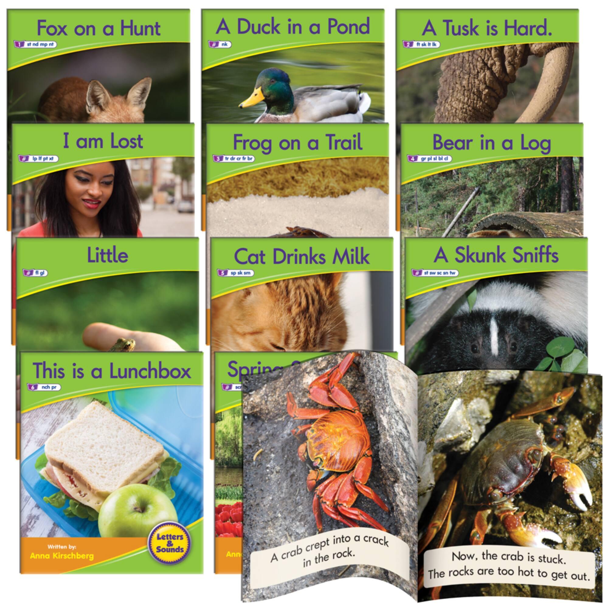 Junior Learning® Blend Readers Non-Fiction Learning Set