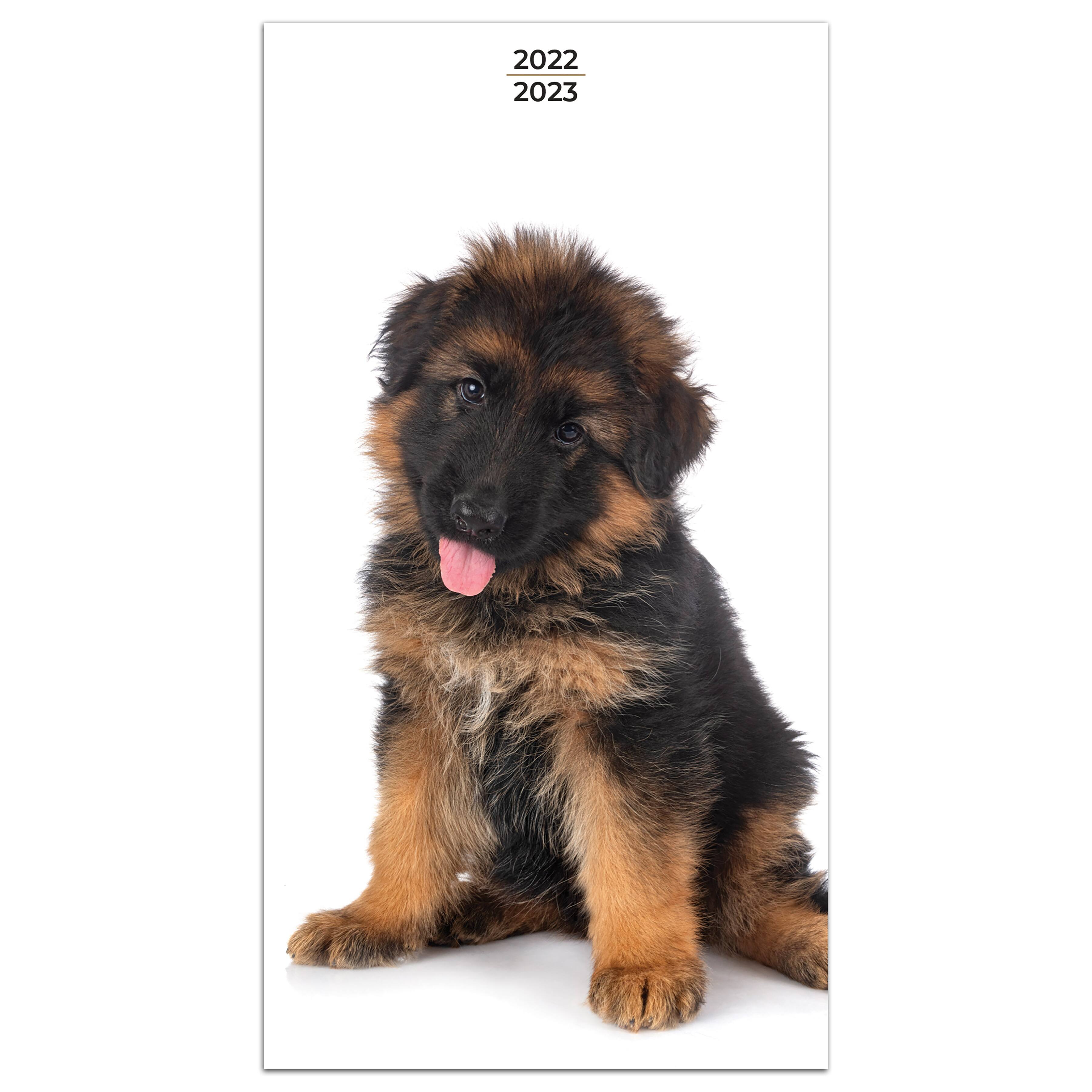 Tf Publishing Small 2 Year Monthly 2022-2023 Puppies Planner | Michaels