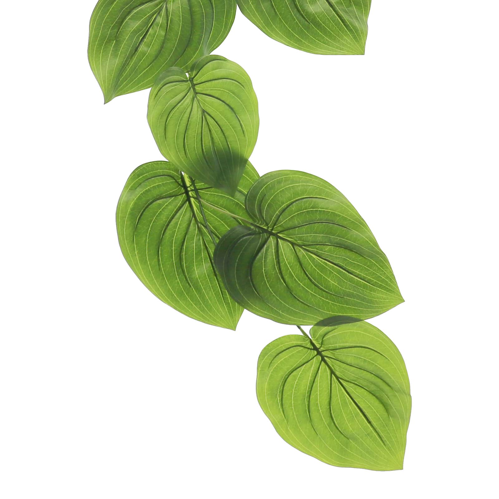 6ft. Green Hosta Leaf Garland by Ashland&#xAE;