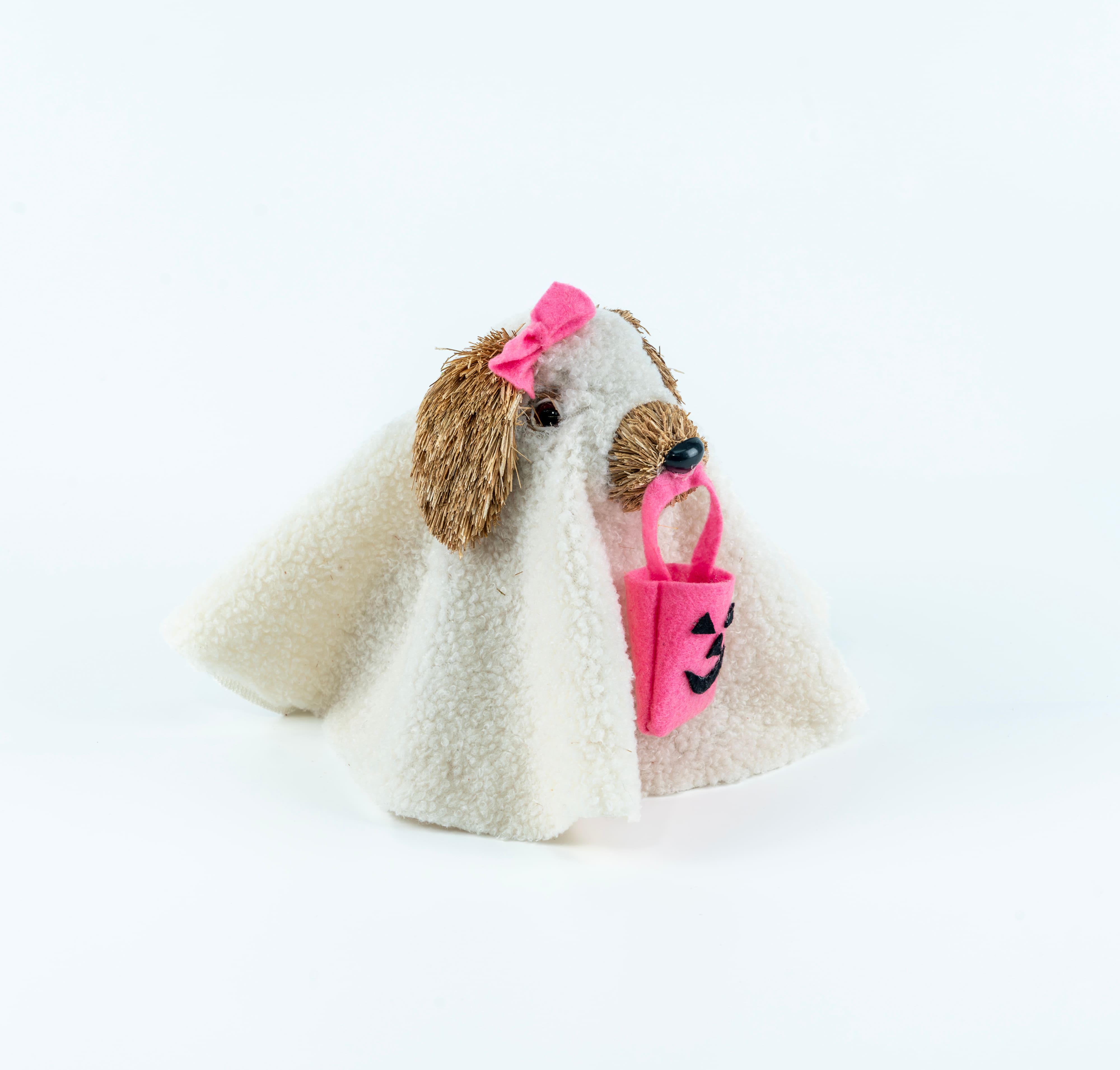 6&#x22; Lady Ghost Dog by Ashland&#xAE;