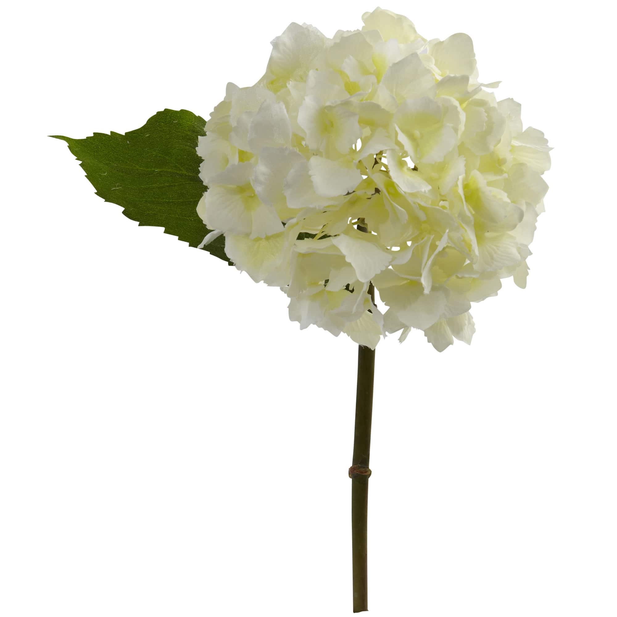 Hydrangea Stem, 12ct.
