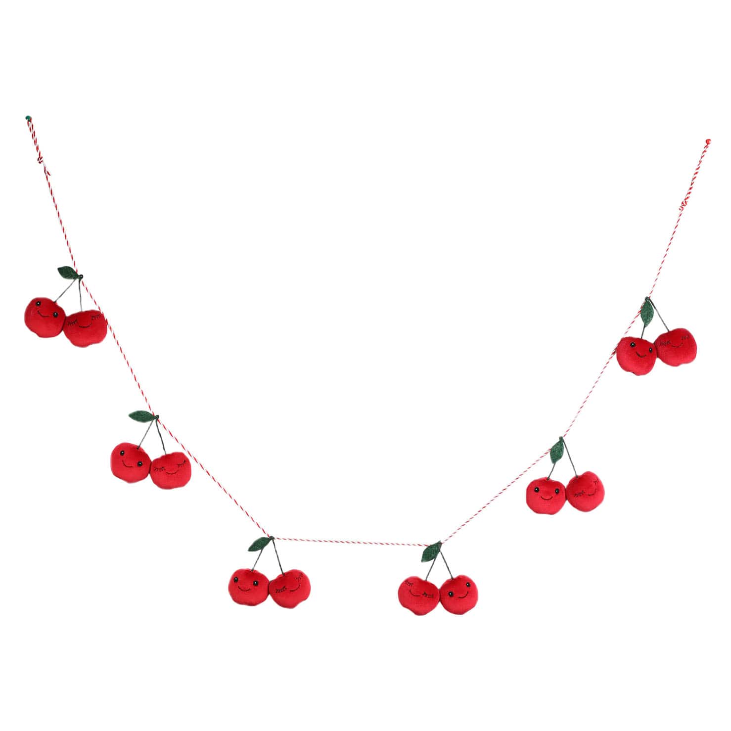 6ft. Cherry Garland by Celebrate It™