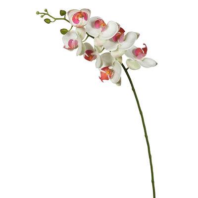 White Orchid Stem | Michaels