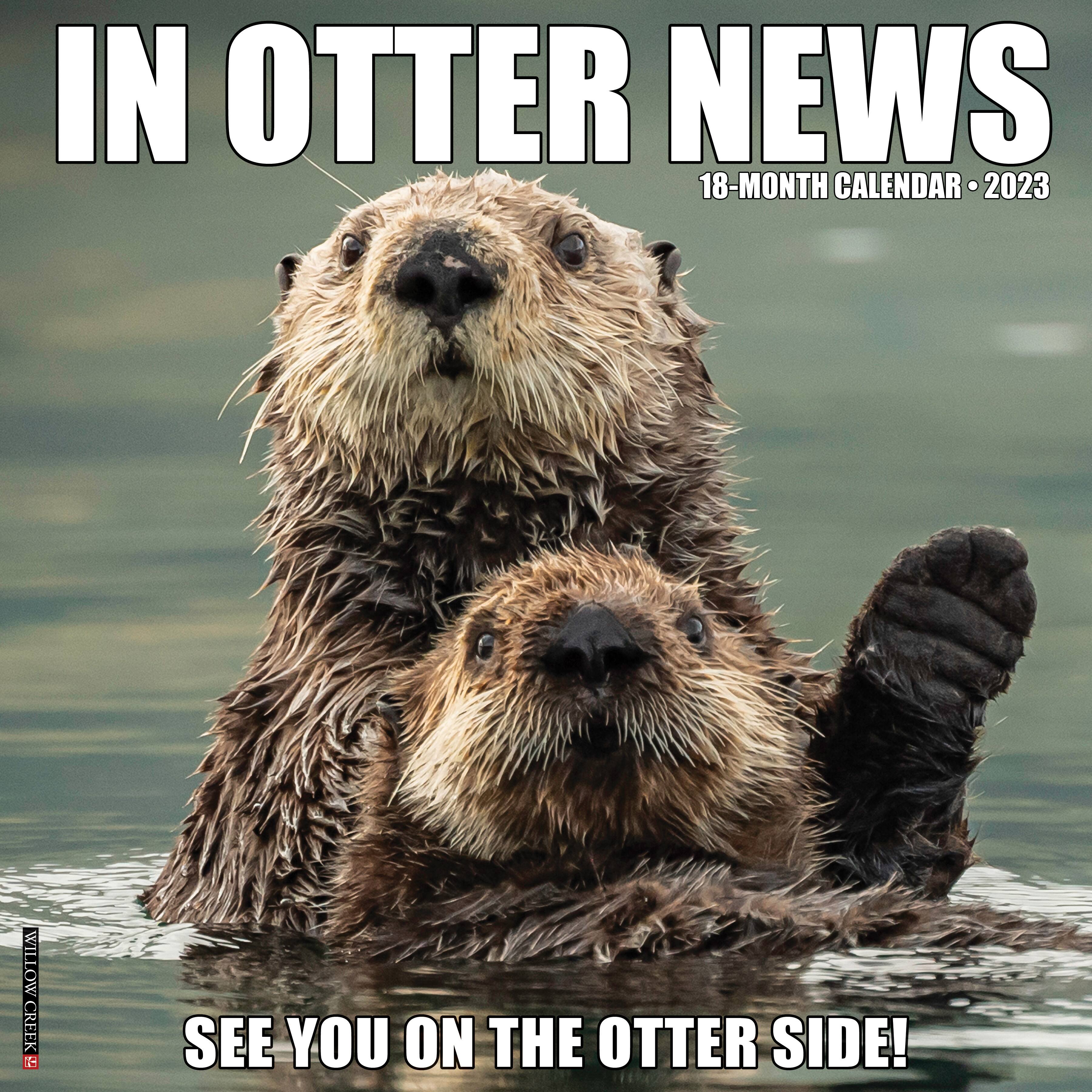 2023 In Otter News Wall Calendar | Michaels