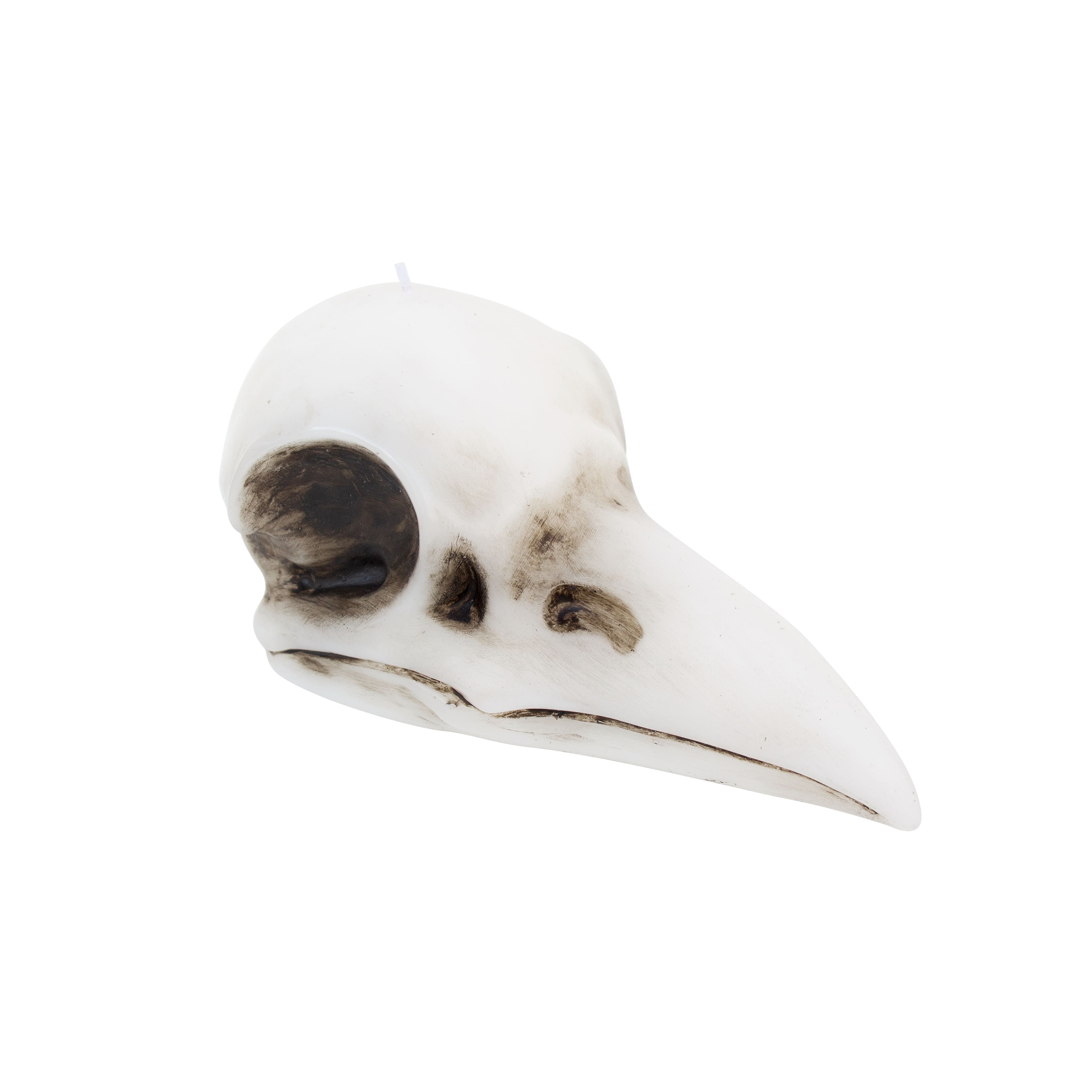 Crow Skull Shaped Candle by Ashland&#xAE;