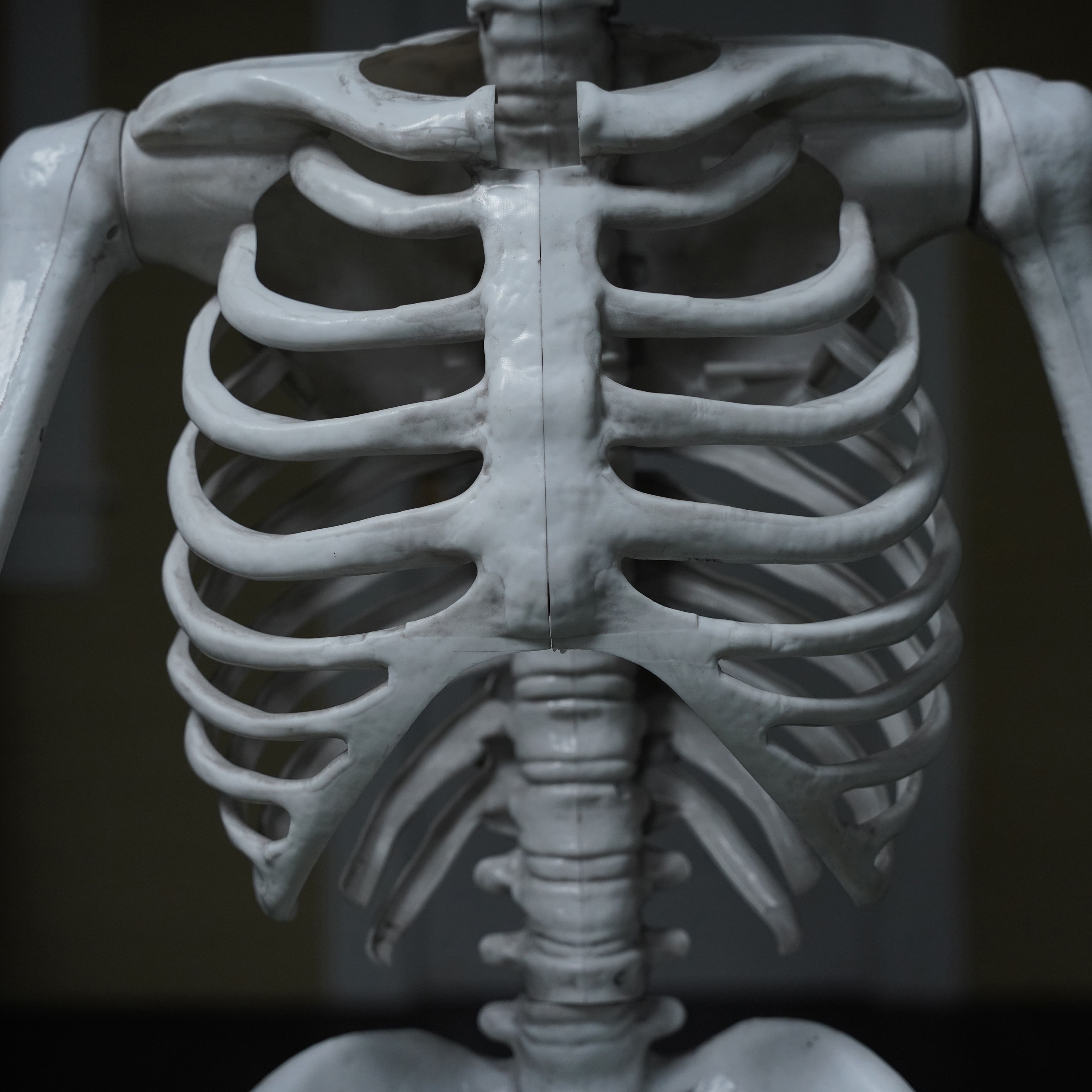 5ft. Skeleton with Red Light-Up Eyes by Ashland&#xAE;