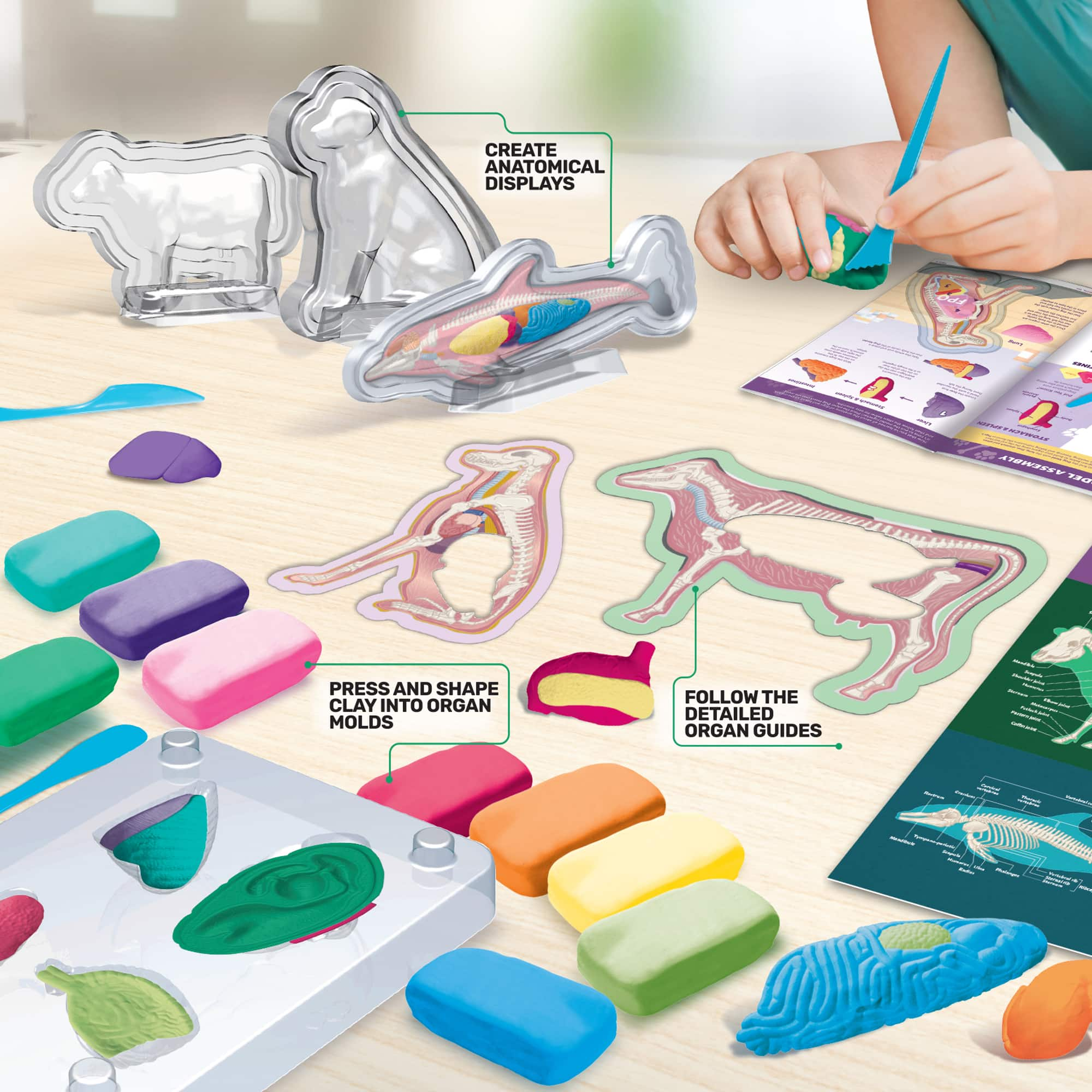 ArtSkills&#xAE; Epic Lab Veterinary Science STEM Kit