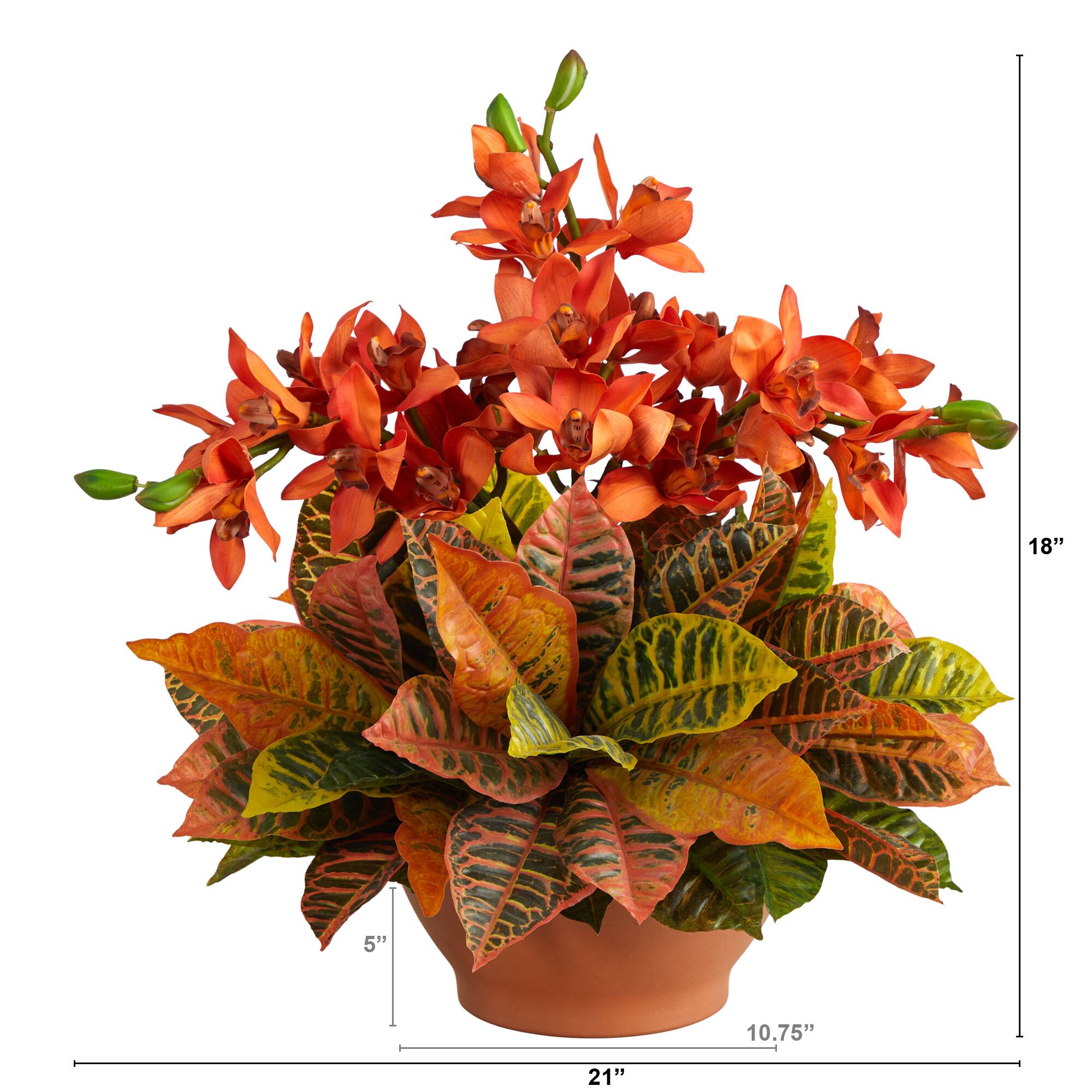 18&#x22; Boat Orchid &#x26; Croton Floral Arrangement in Terra Cotta Vase