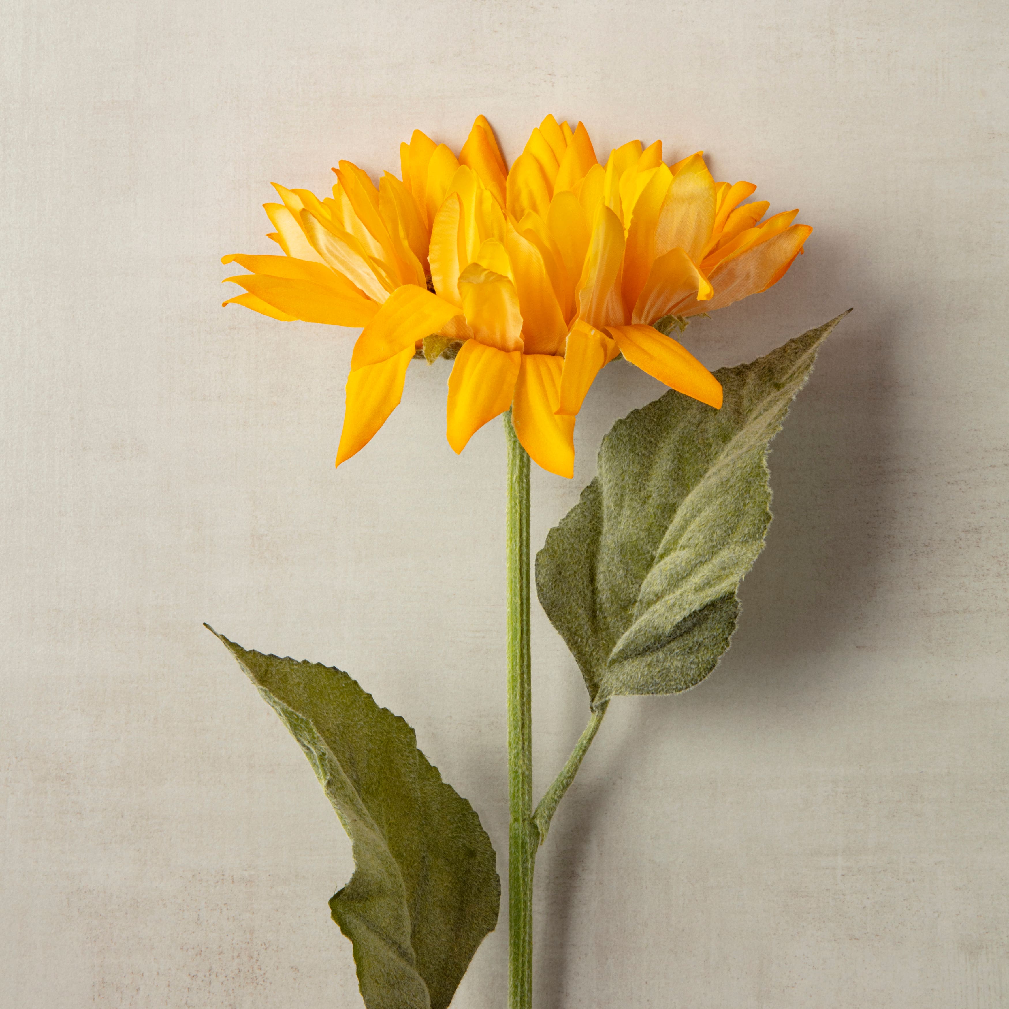 12 Pack: Gold Sunflower Stem by Ashland®