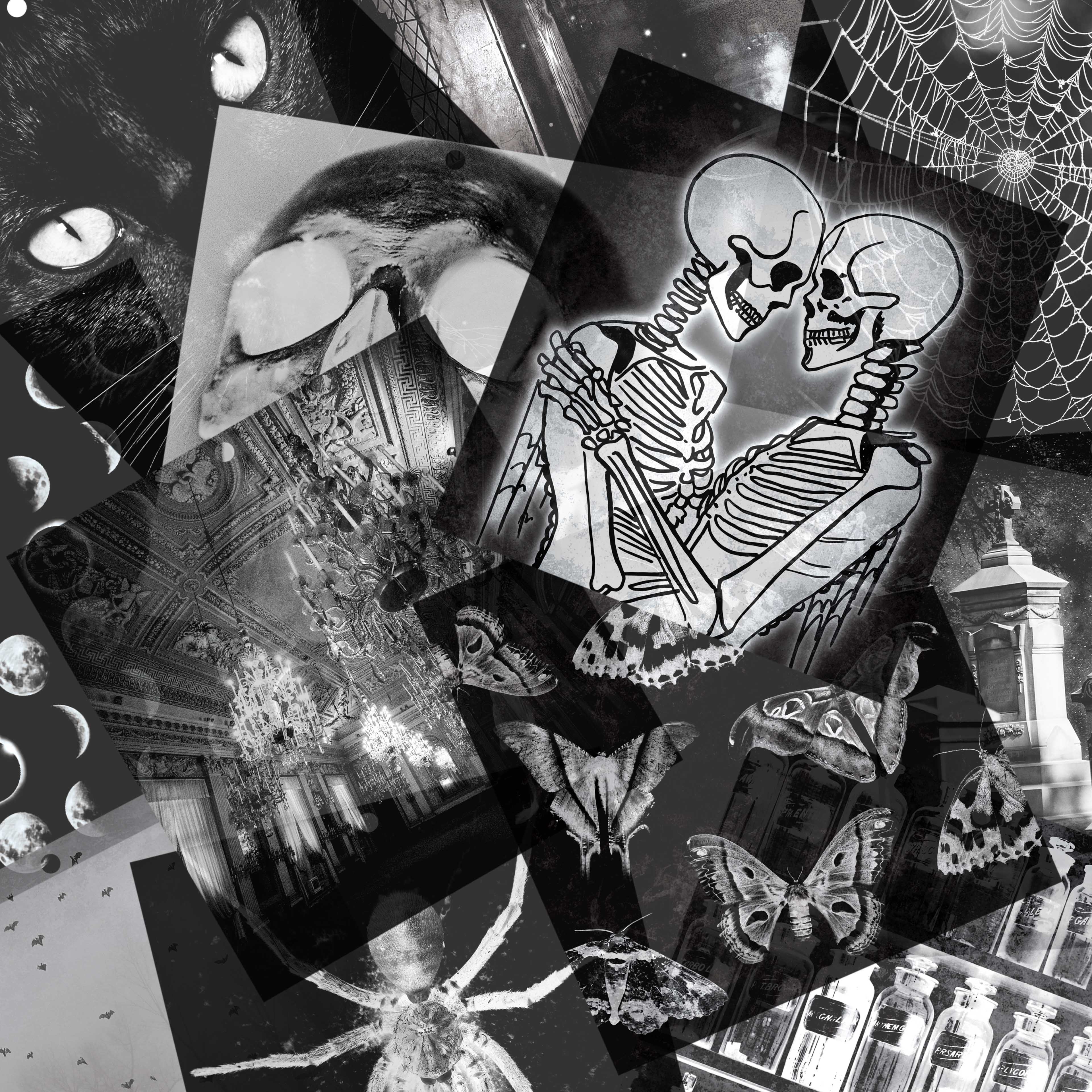 8&#x22; x 8&#x22; X-Ray Acetate Sheet Pad by Recollections&#x2122;