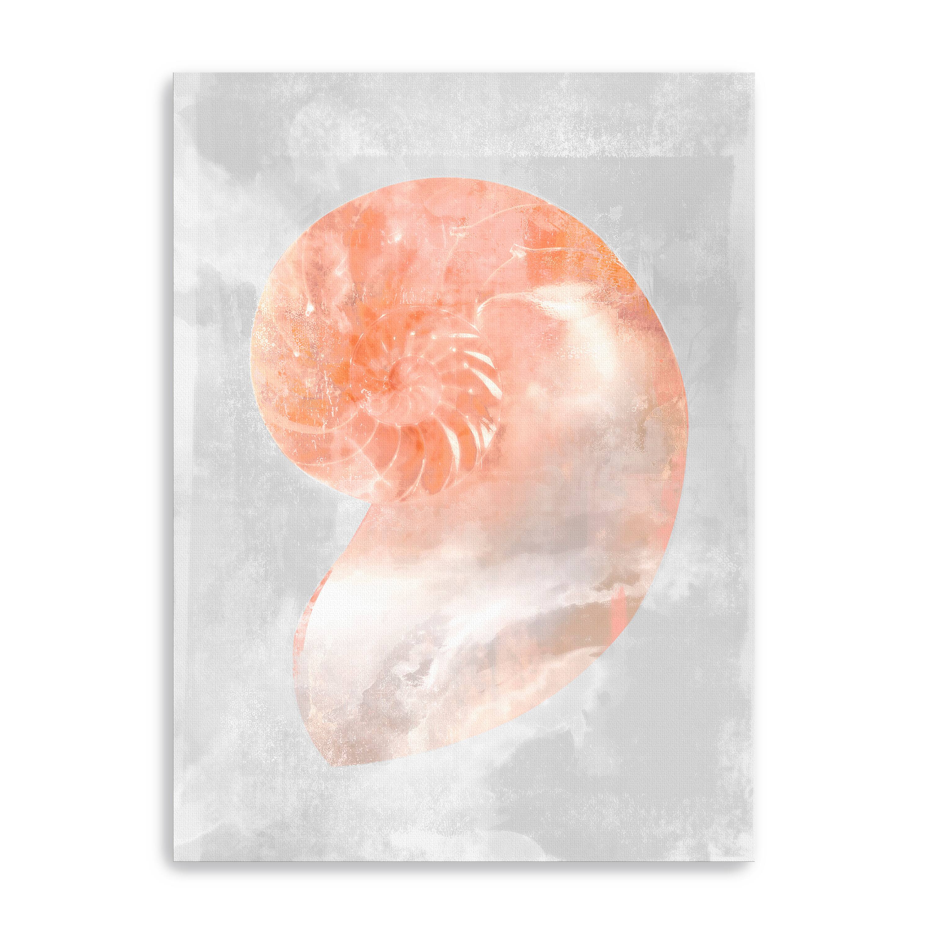 Coral Shell II Canvas Giclee