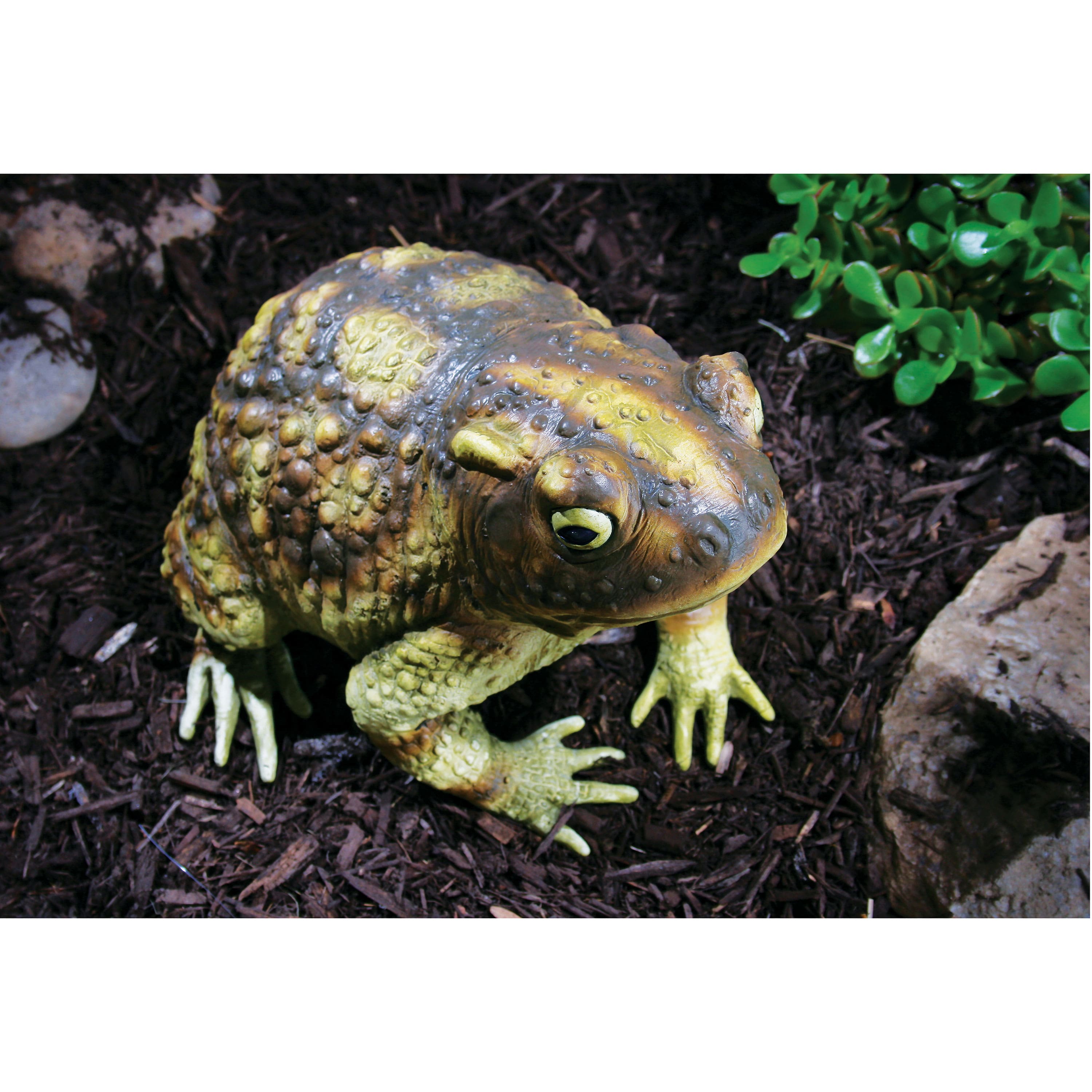 10&#x22; Green Frog by Ashland&#xAE;