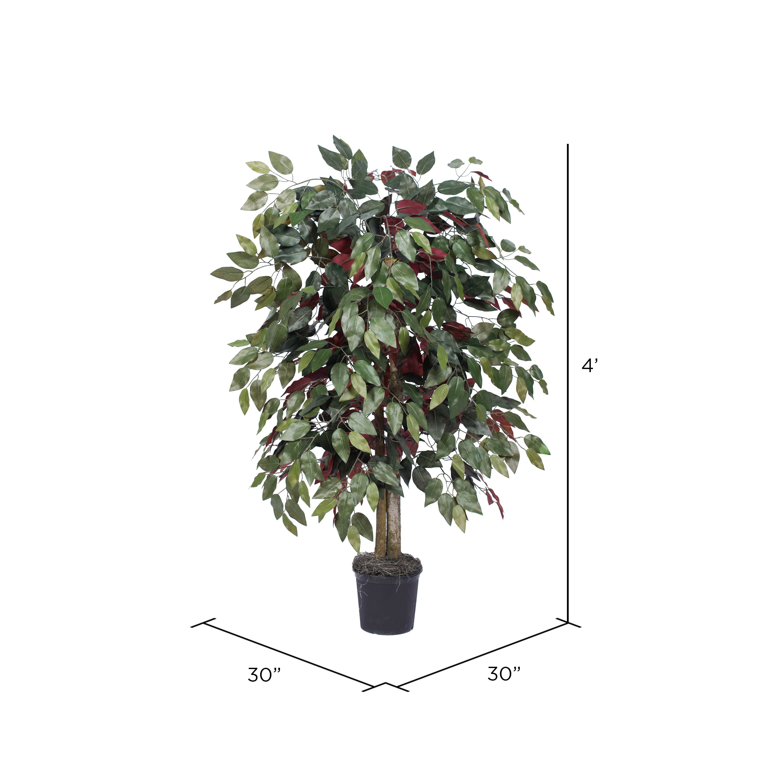 4ft. Artificial Capensia Bush with Black Plastic Pot