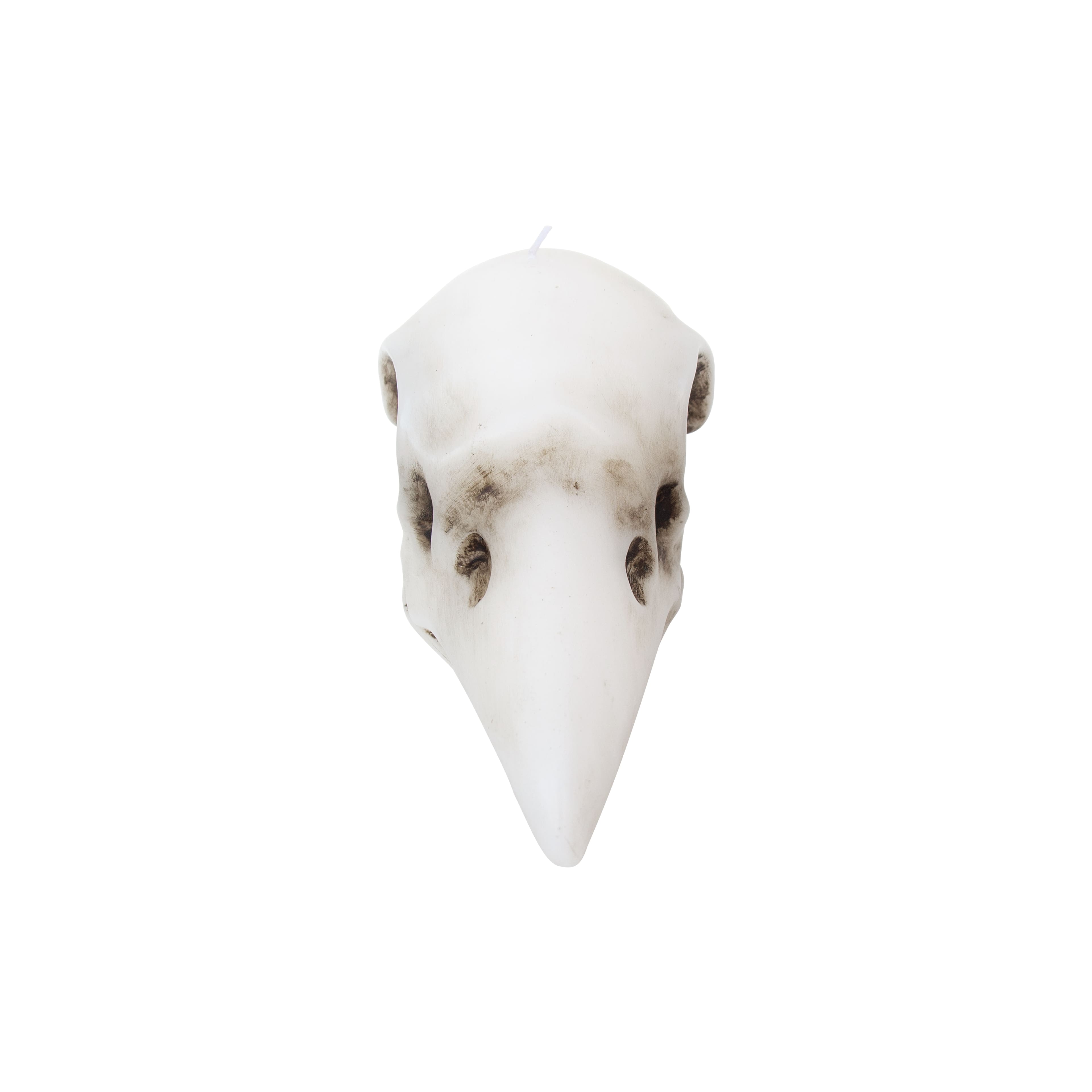 Crow Skull Shaped Candle by Ashland&#xAE;