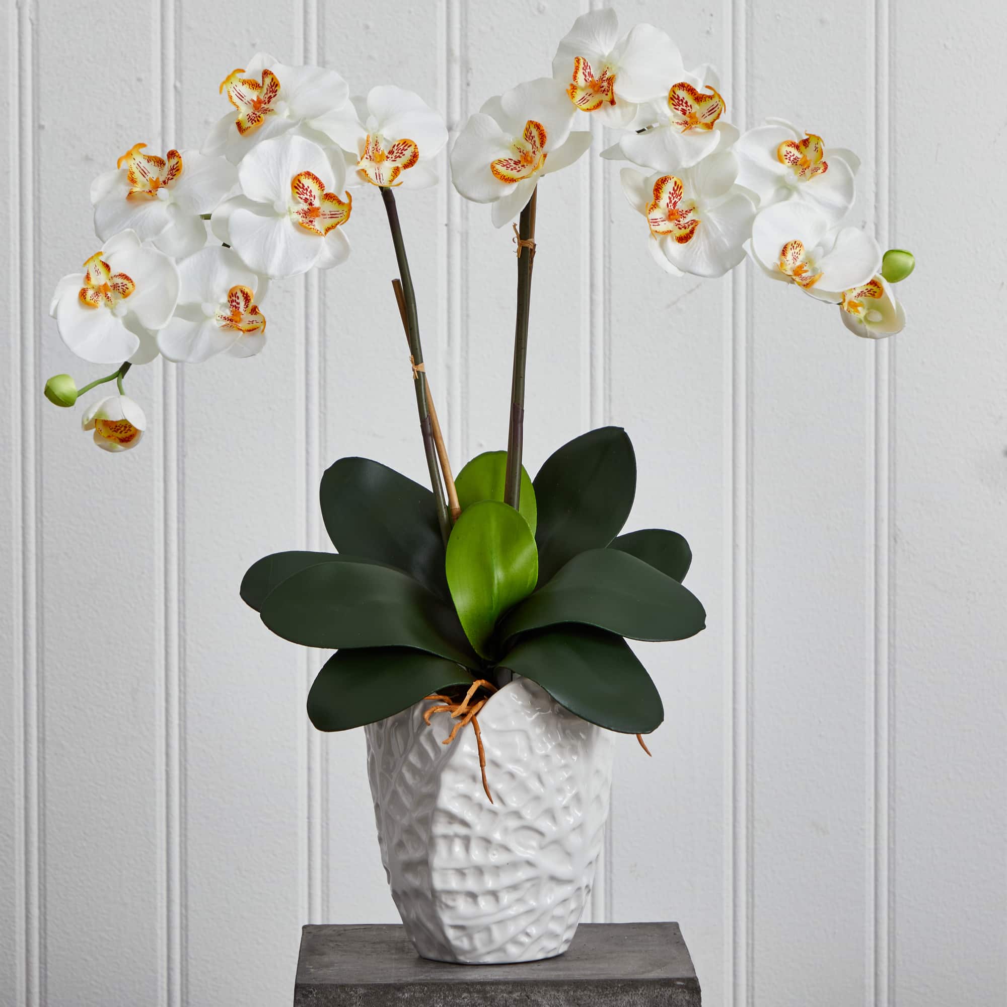 23&#x22; White Double Stem Orchid Arrangement in White Textured Vase