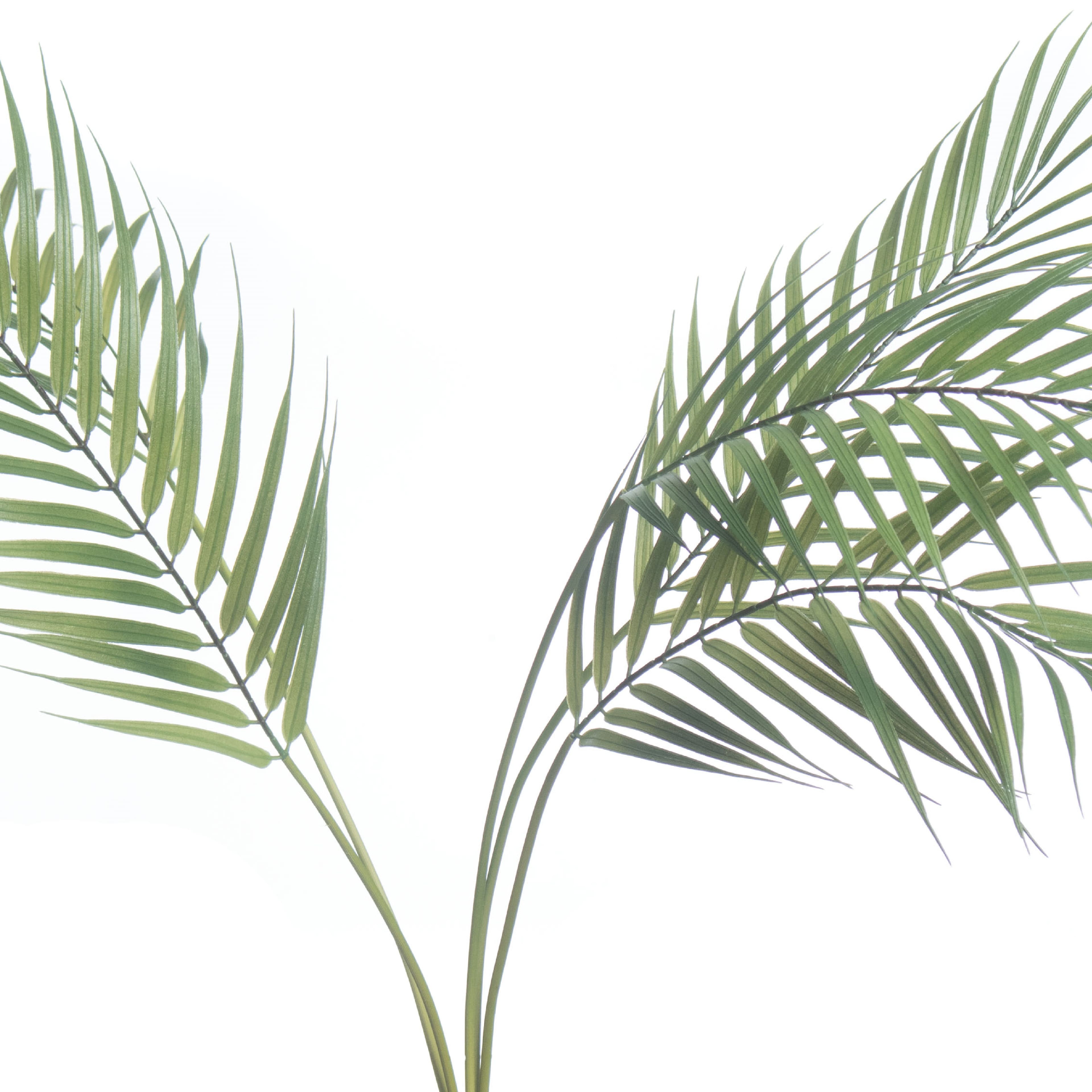 30&#x22; Palm Bush by Ashland&#xAE;