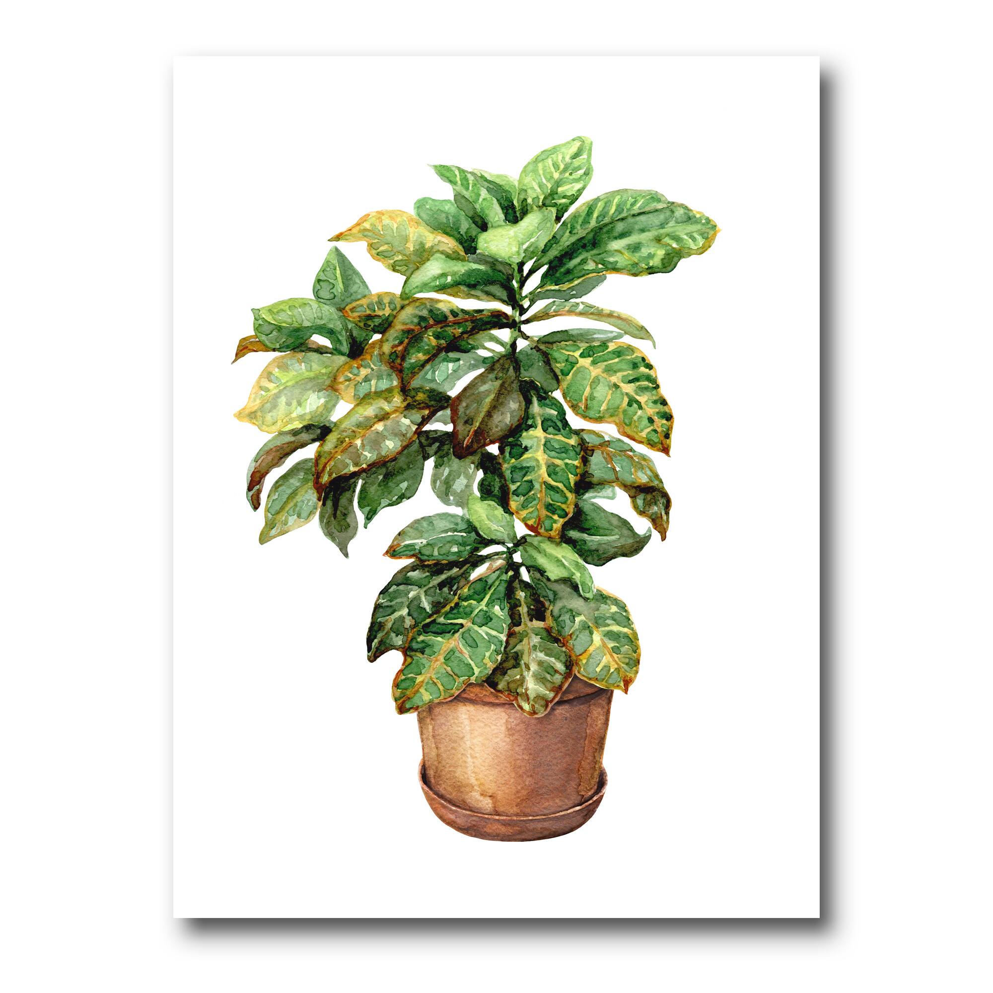 Designart - Croton In Clay Flowerpot - Traditional Canvas Wall Art Print