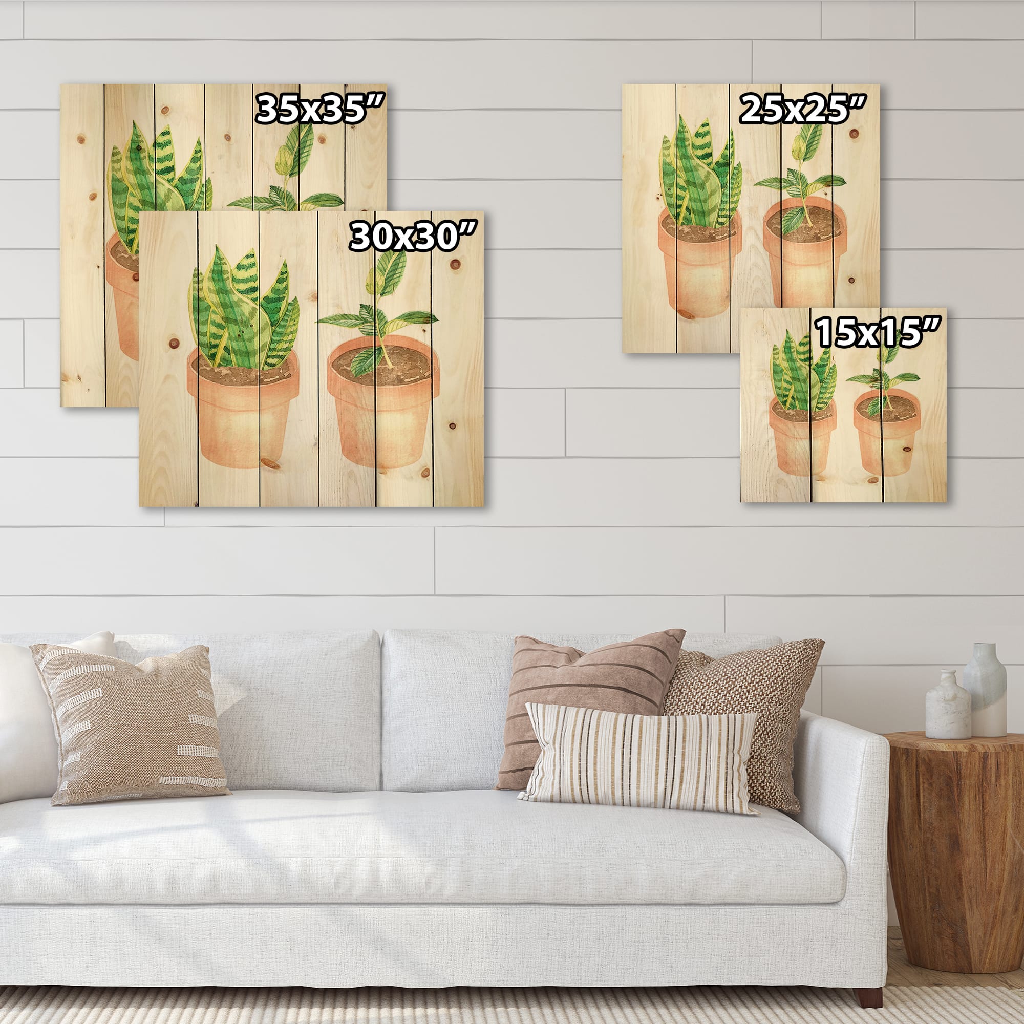 Designart - Sansevieria &#x26; Ficus Indoor Green Home House Plants - Traditional Print on Natural Pine Wood