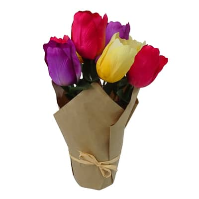 Small Mixed Potted Tulip Bouquet by Ashland® | Michaels