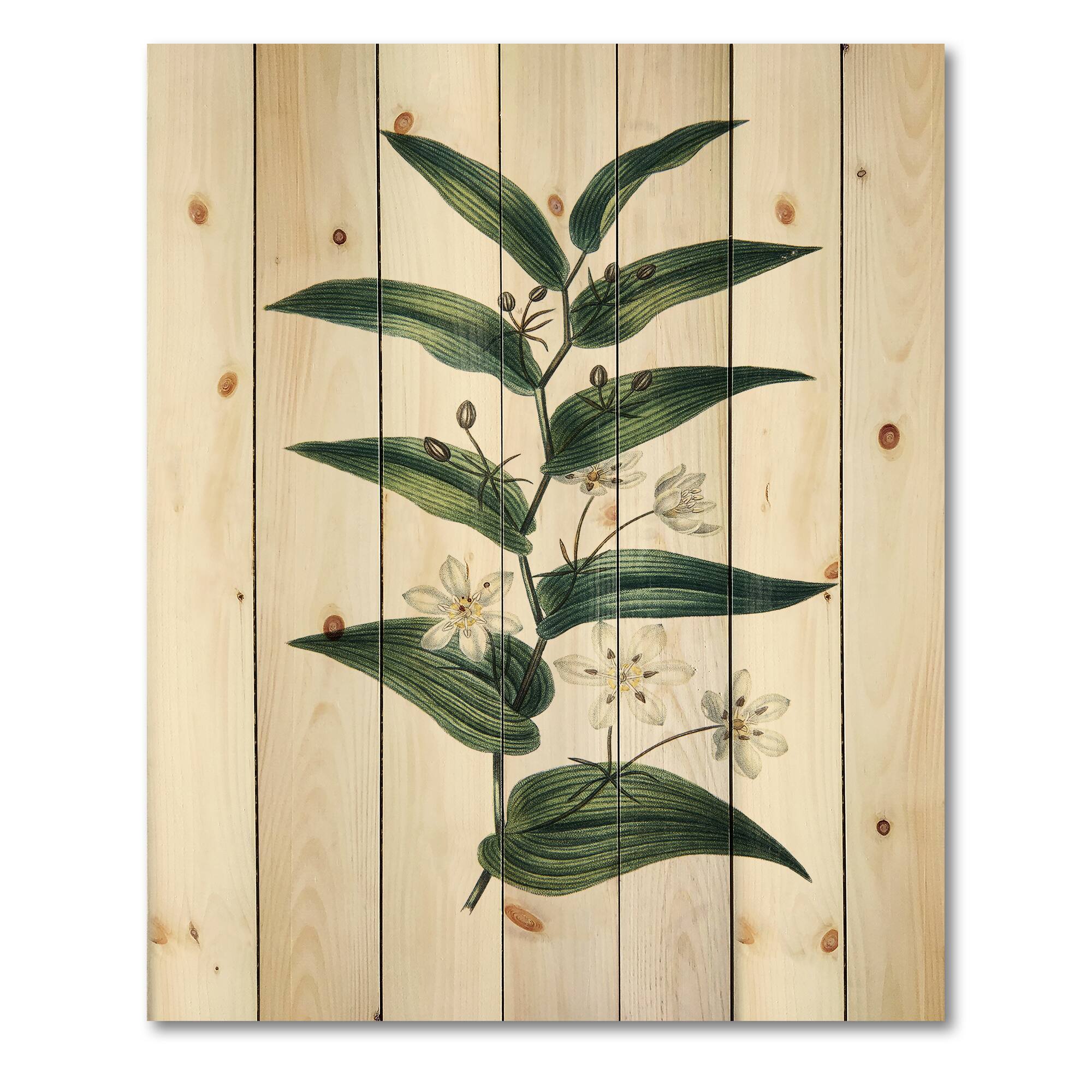Designart - Vintage Plant With Little White Flowers - Farmhouse Print on Natural Pine Wood