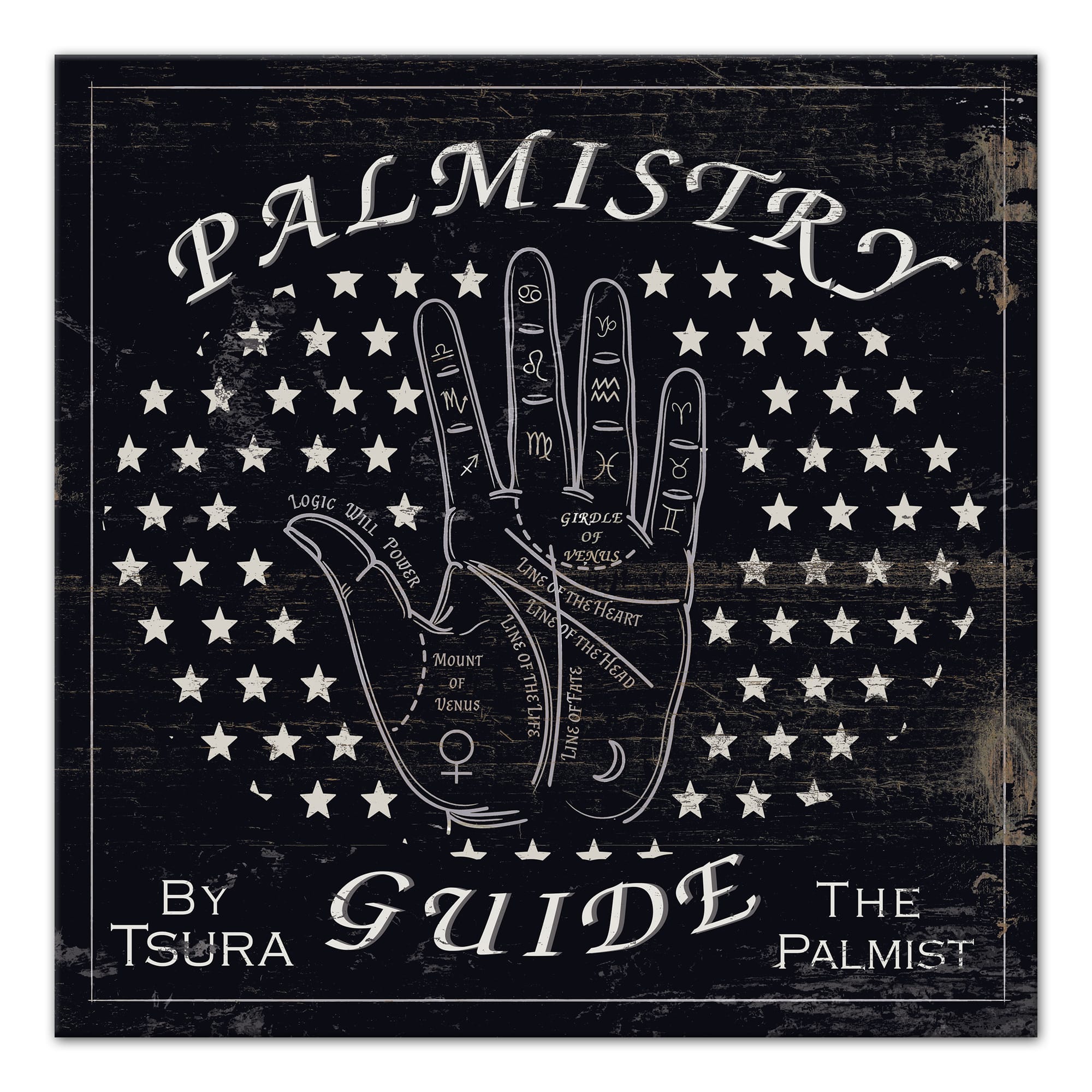 Palm Reading Guide 3 20&#x22; x 20&#x22; Canvas Wall Art