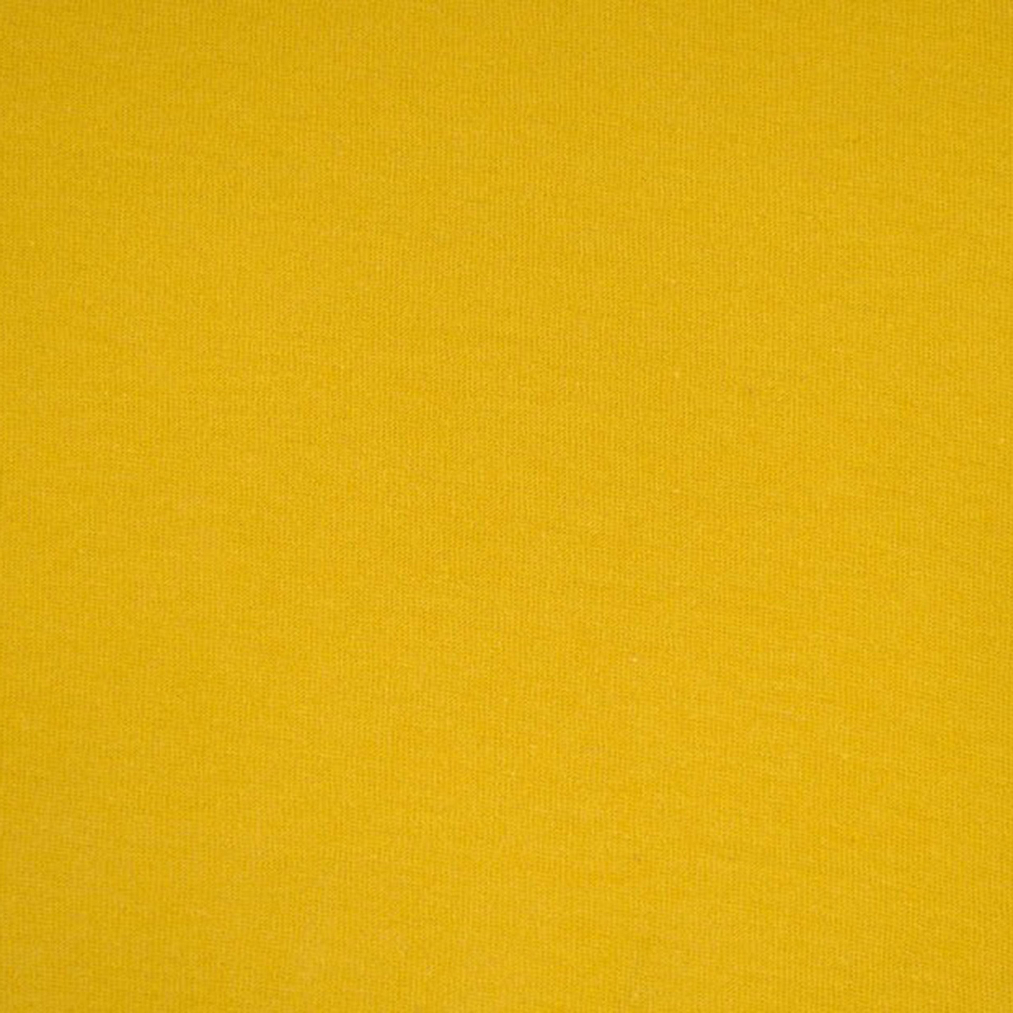 Fabric Merchants Solid Cotton Jersey Knit Fabric