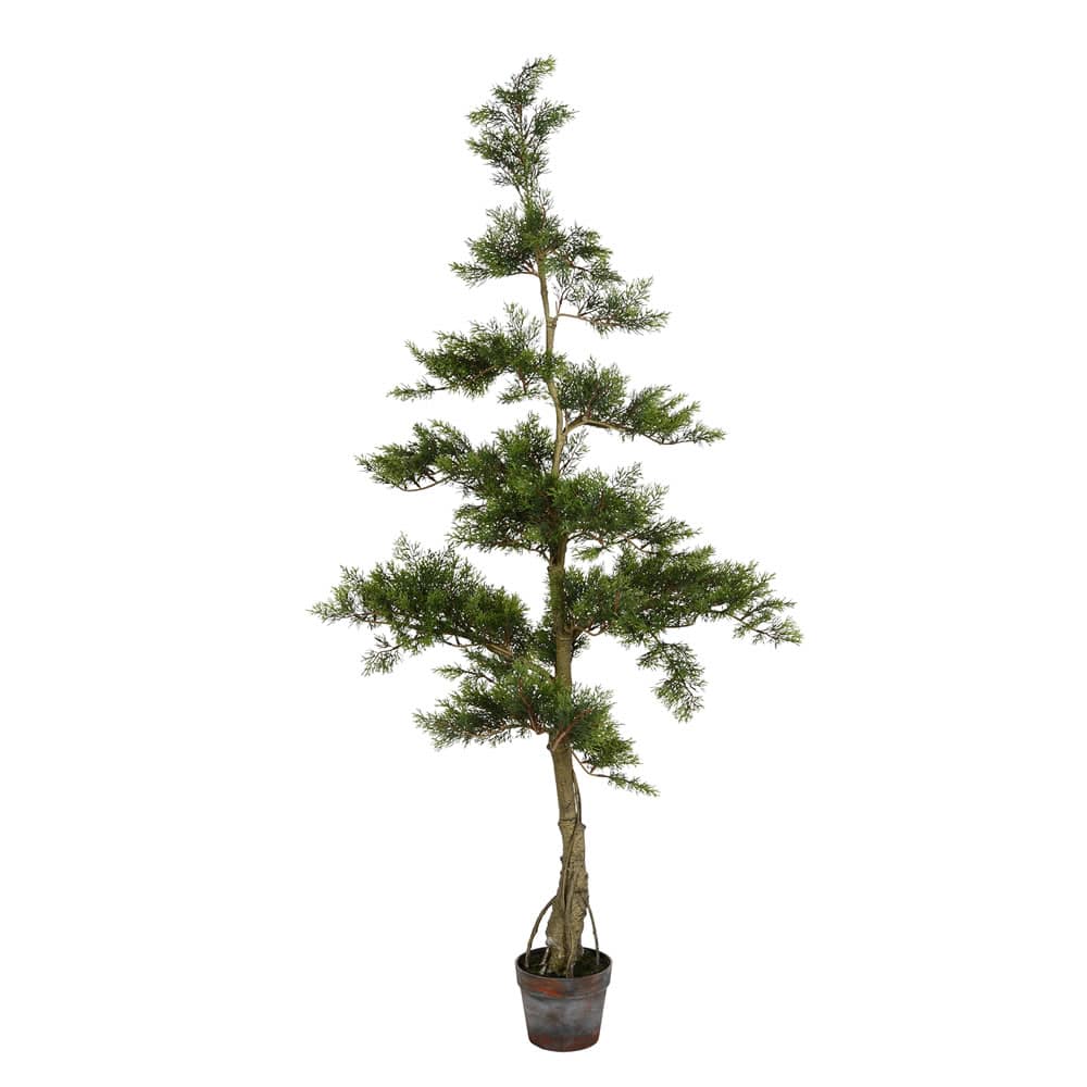 5ft. Potted Cedar Tree