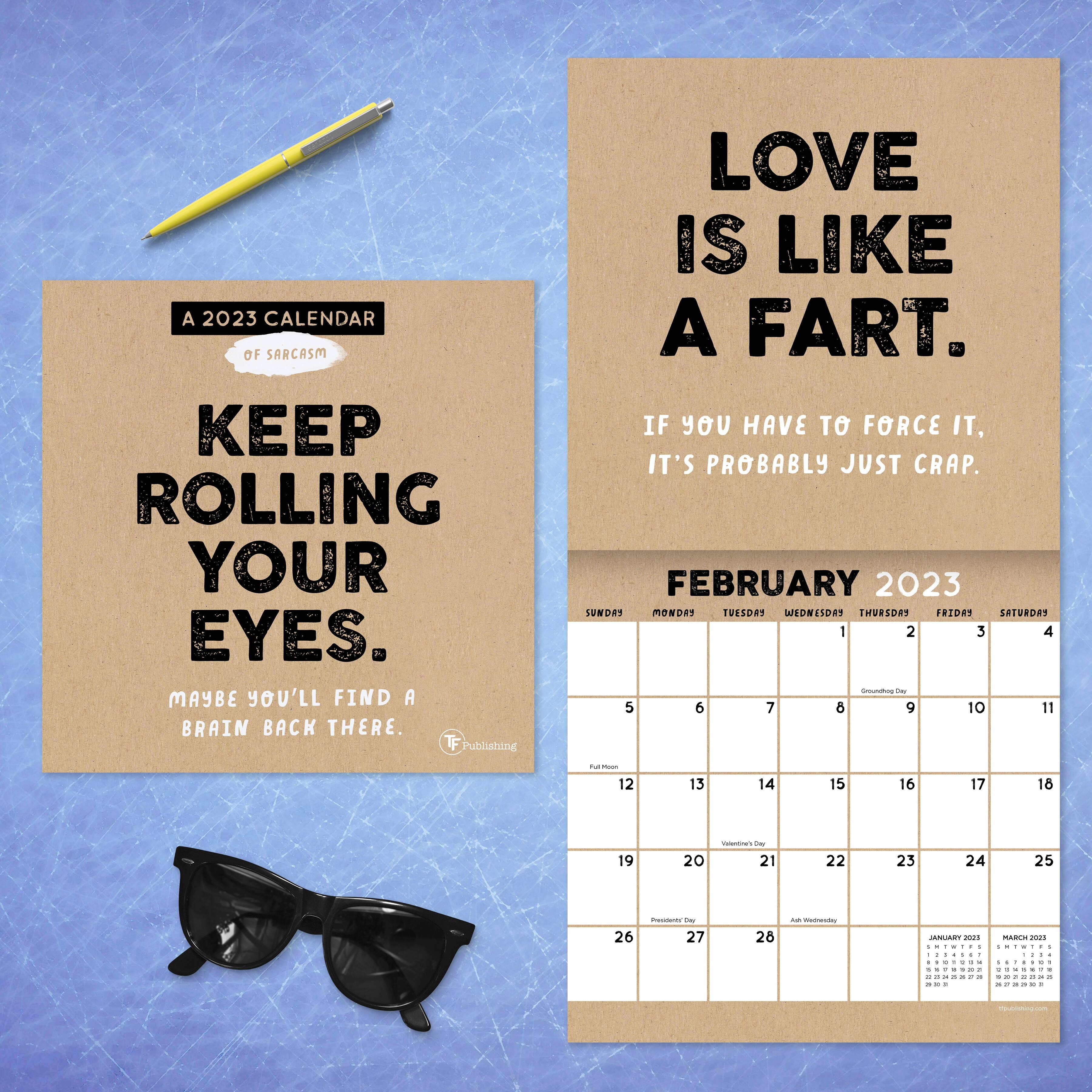 TF Publishing 2023 Anti-Affirmations & Sarcasm Mini Calendar | Michaels