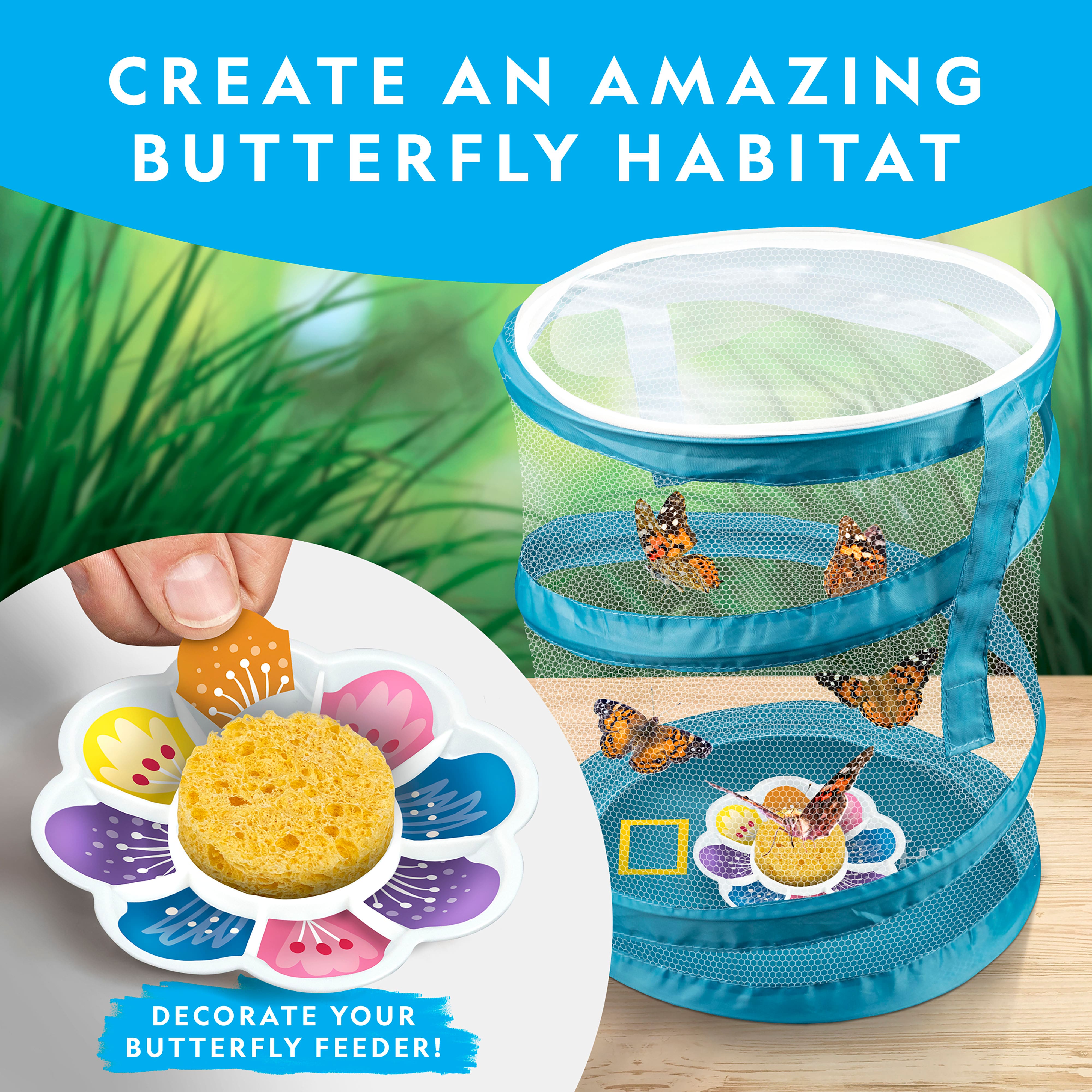 National Geographic&#x2122; Butterfly Growing Kit