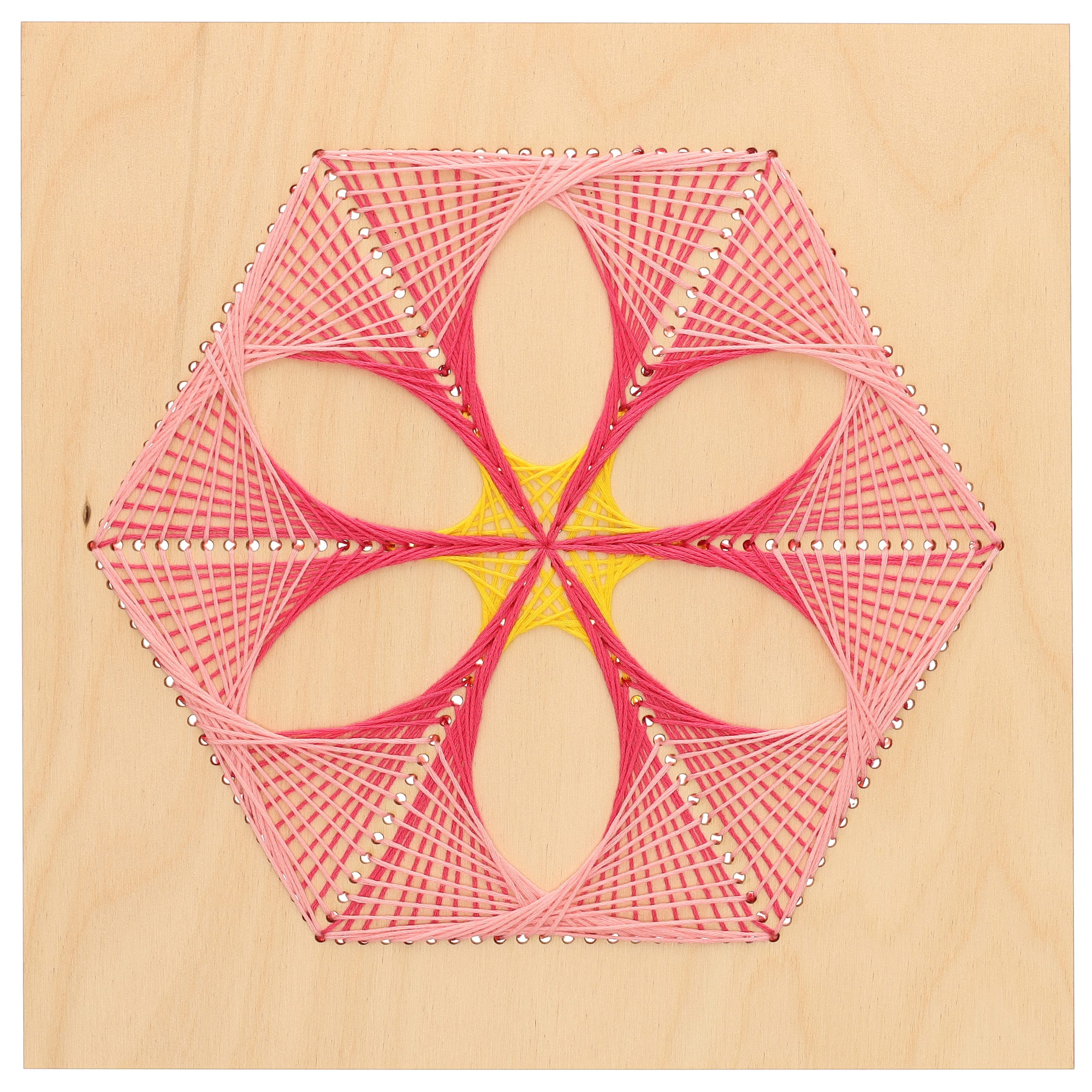 Leisure Arts&#xAE; Hexagon Flower Stitched String Art Shadow Box Kit