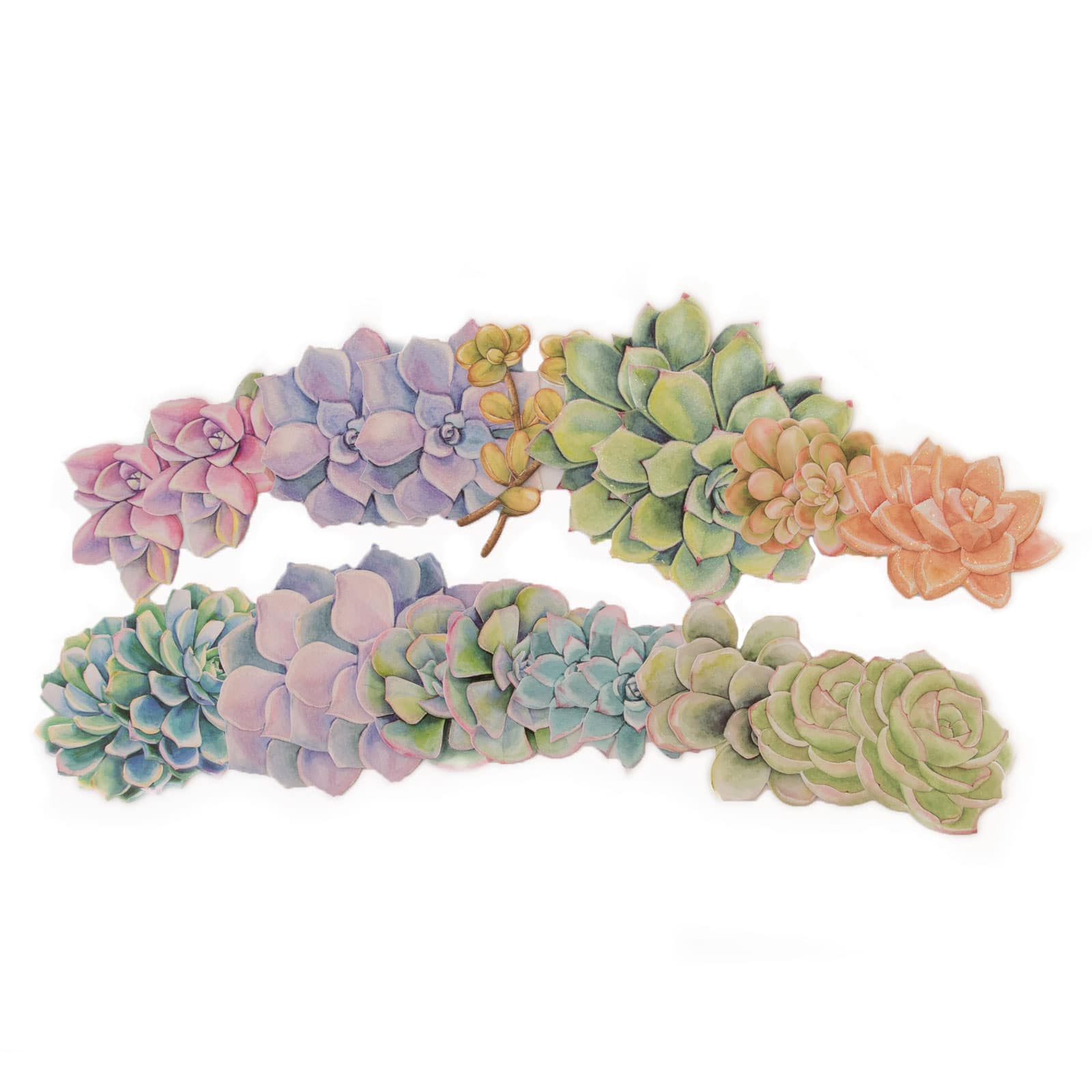 12 Pack: Succulent Die Cut Stickers by Recollections&#x2122;