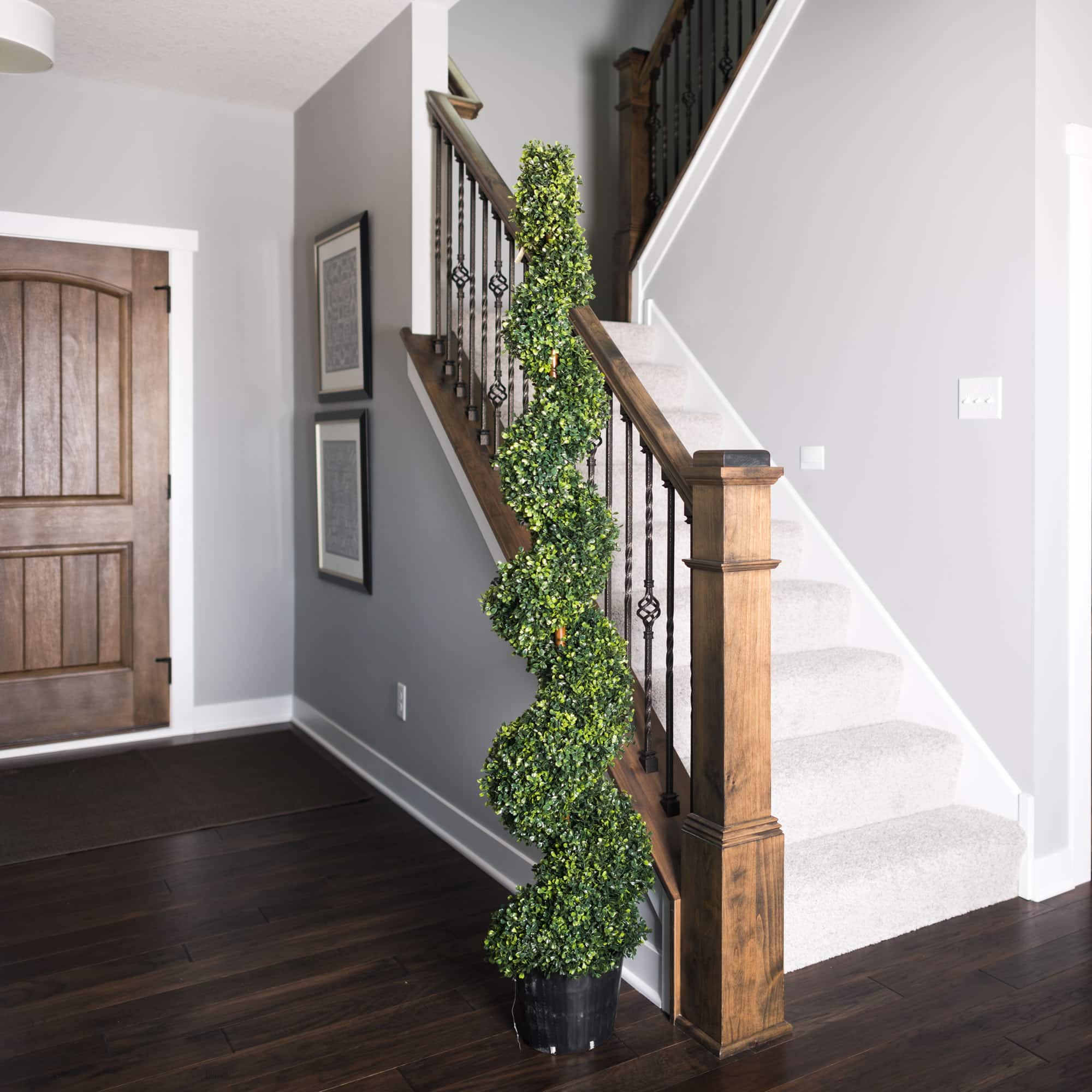 6ft. Potted Boxwood Spiral Tree