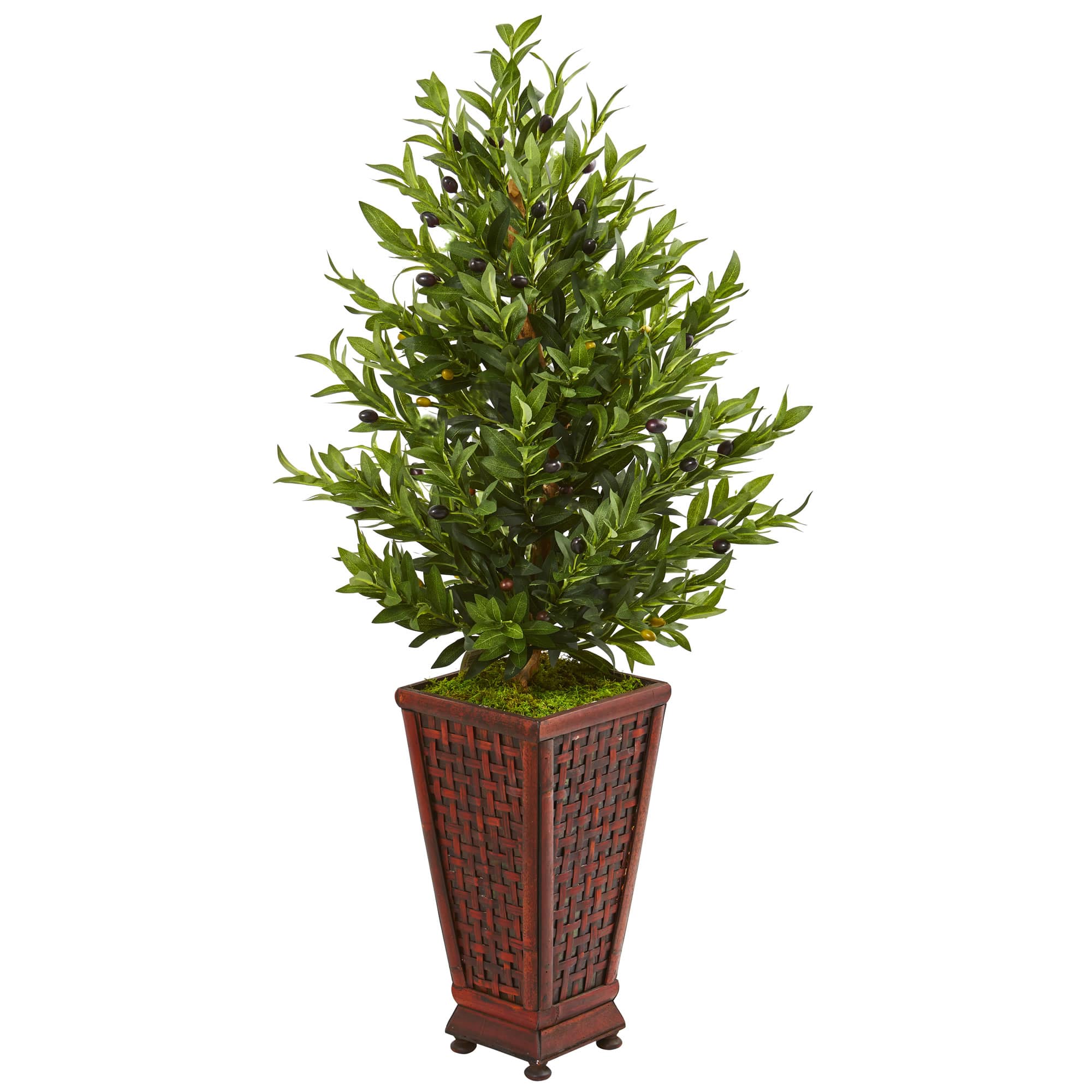 4ft. Green Olive Cone Topiary Tree in Decorative Planter