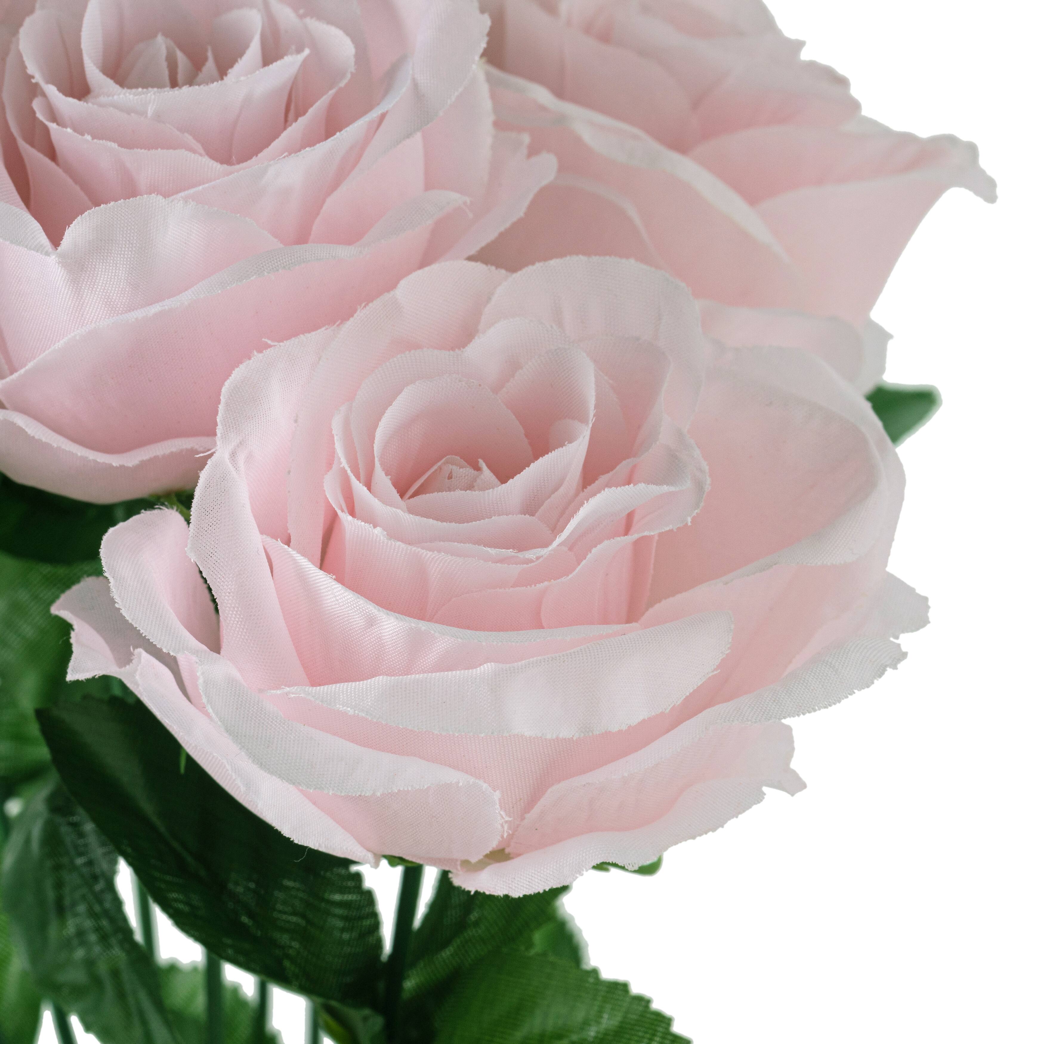 12 Pack: Pink Rose Bush by Ashland&#xAE;