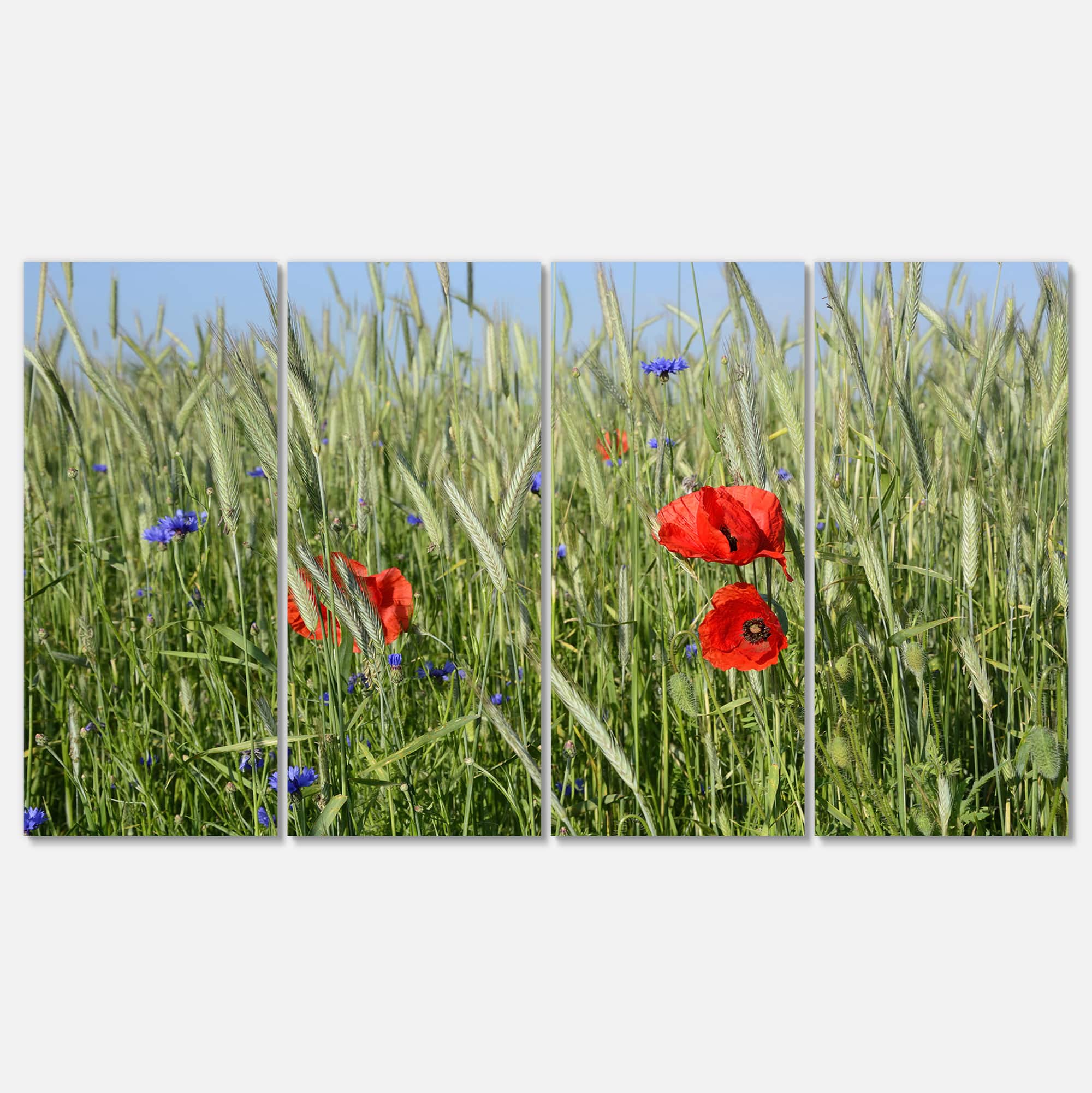 Designart - Rural Landscape with Red Poppies - Large Landscape Canvas Art
