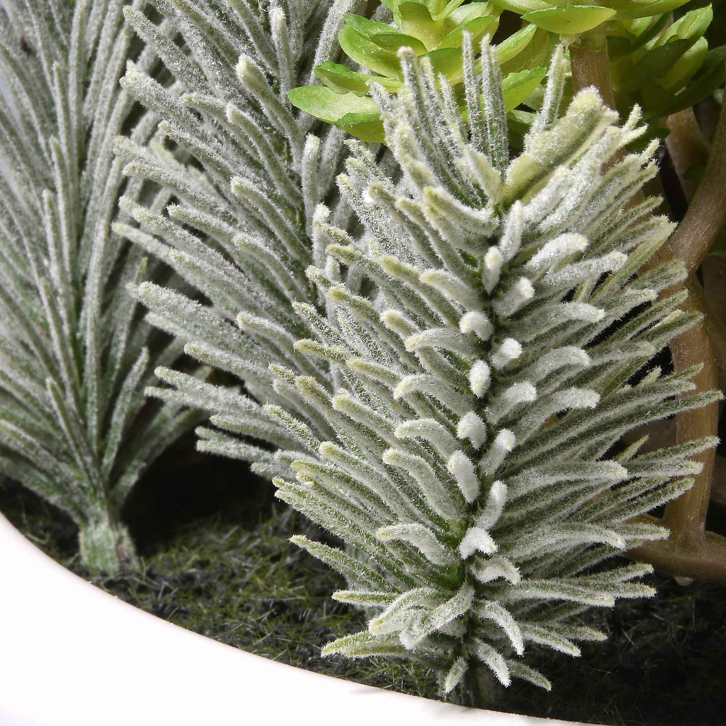 7.5" Succulent Plants in White Planter