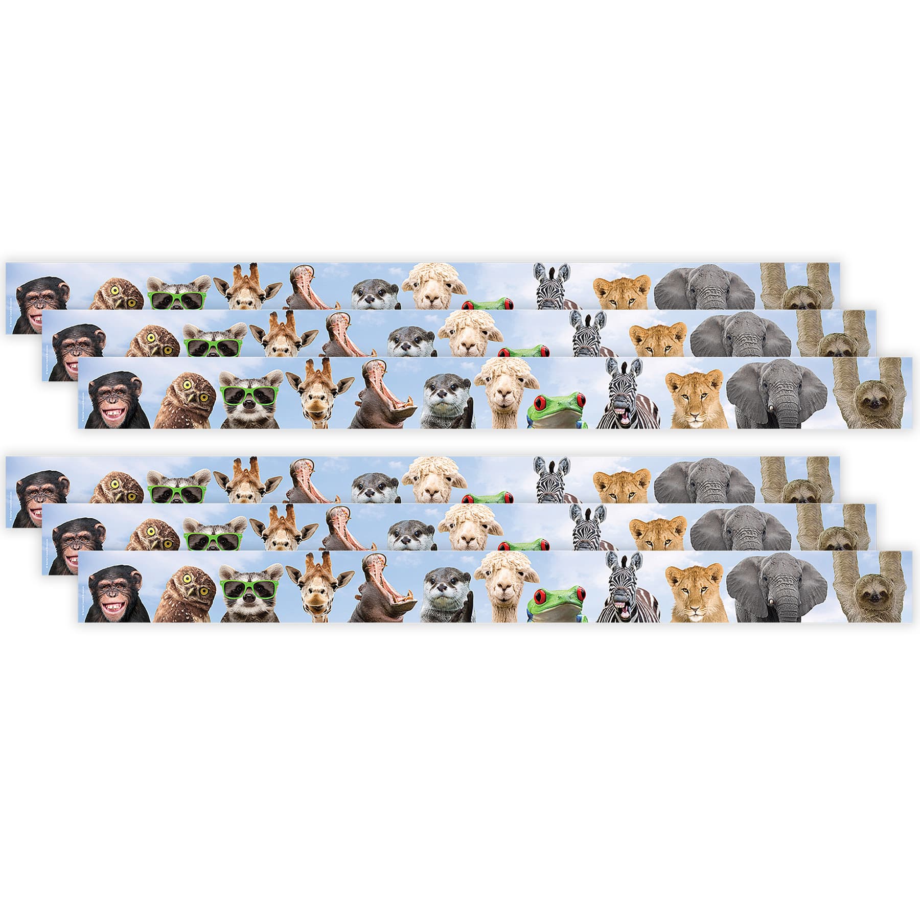 Teacher Created Resources® Go Wild Animals Straight Border Trim, 6 Packs of 12